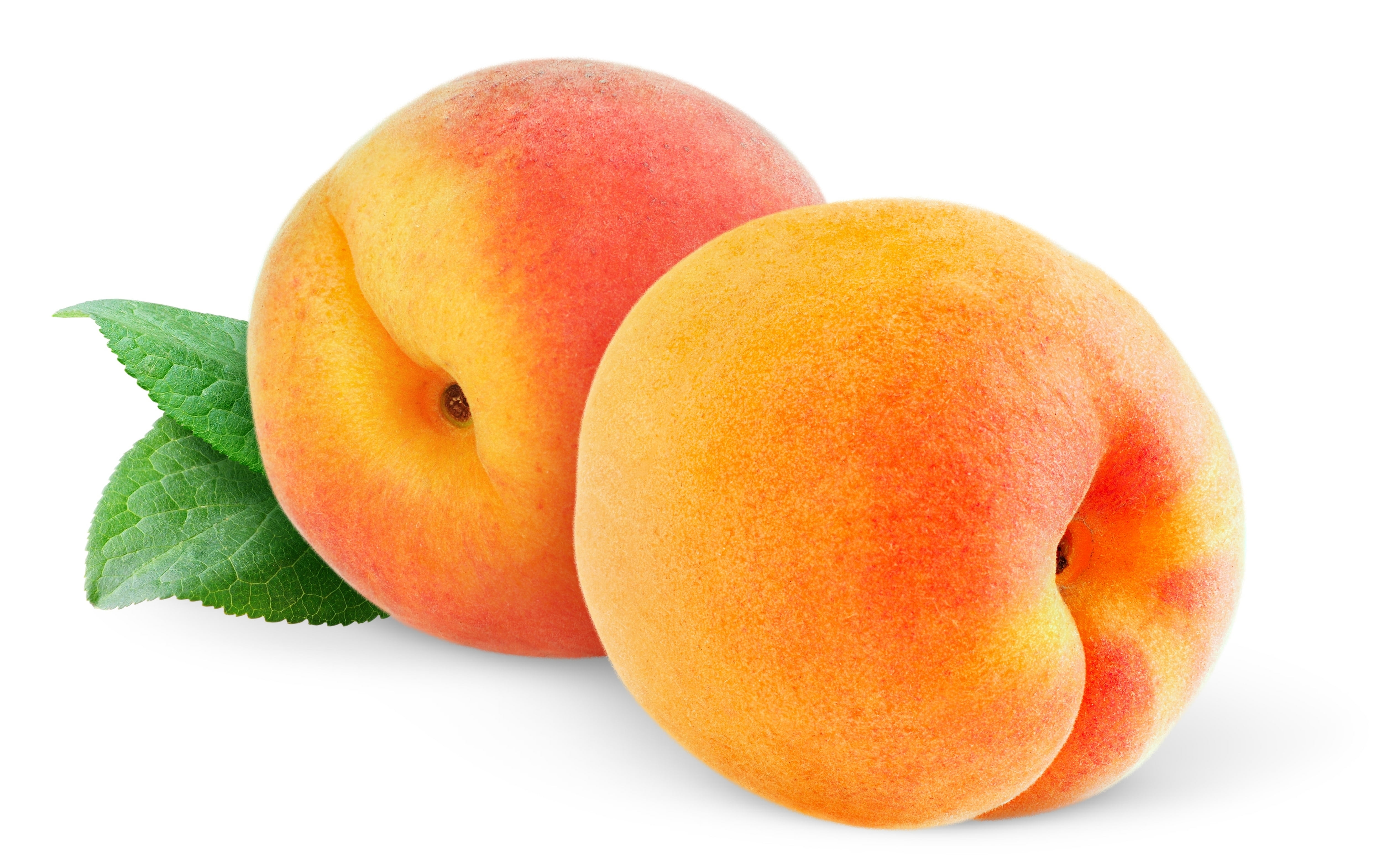 agriculture, apricot, fruit, peaches, vegetarian Food, peach, gourmet, wellbeing, 4K, vitamin, still life, white, group of objects, freshness, ripe, white Background, HD Wallpaper