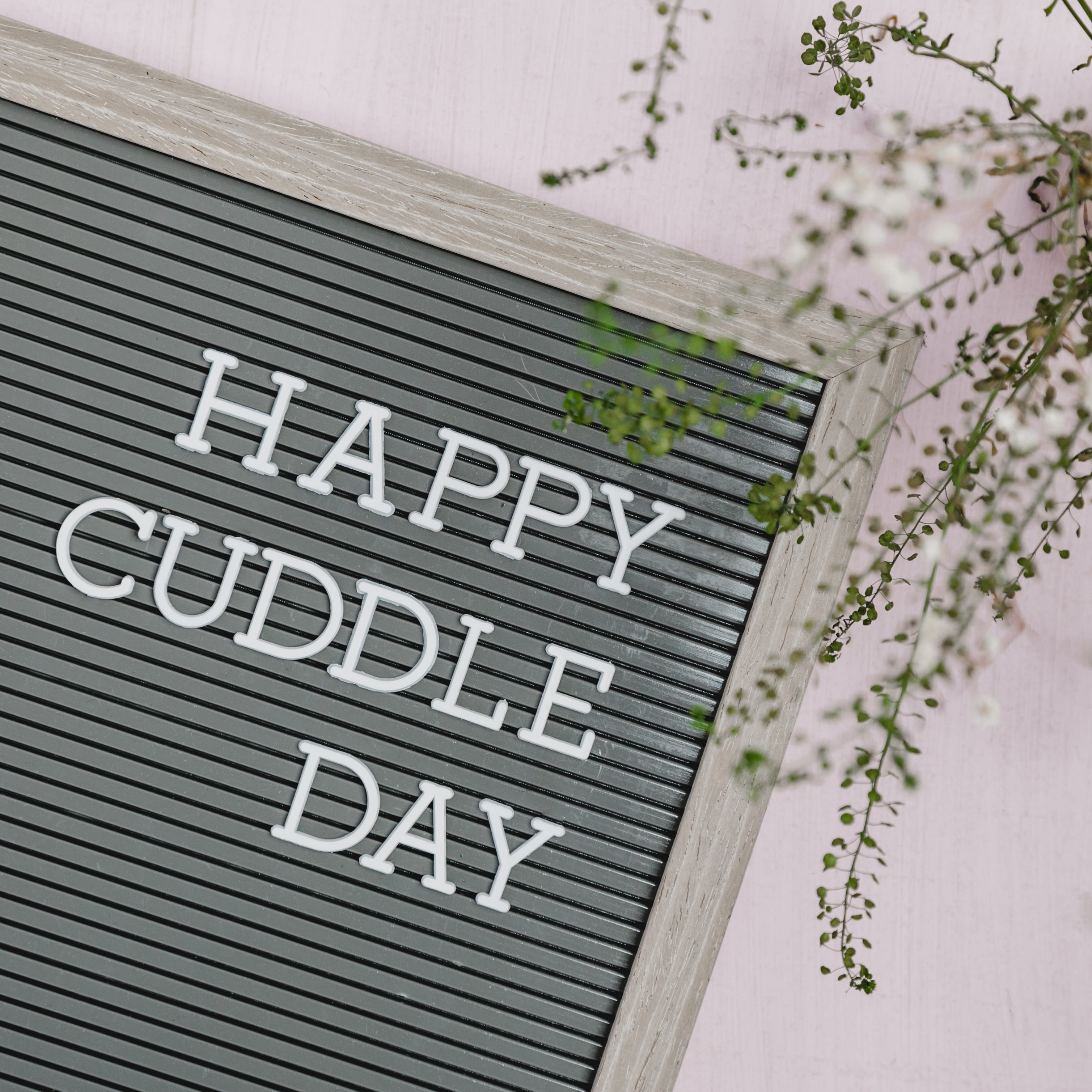 communication, studio shot, cuddle, day, business, romantic, white color, letter board, no people, single word, text, close-up, logo, plant, trademark, Phone HD Wallpaper