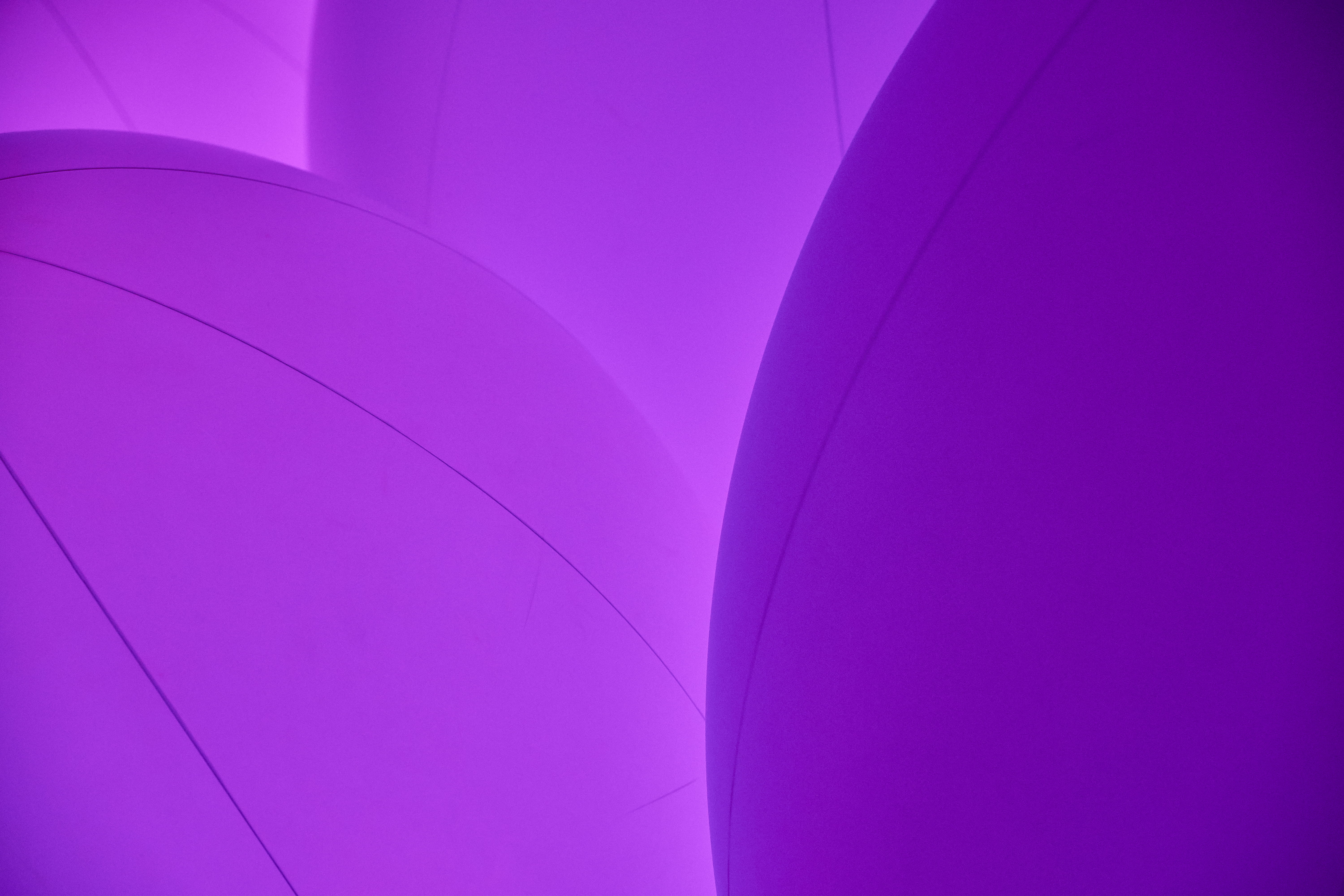 close-up, nature, day, page, art, text, overwatch, flower, no people, teal, built structure, blossom, night club, outdoors, inflatable, pattern, heart, HD Wallpaper