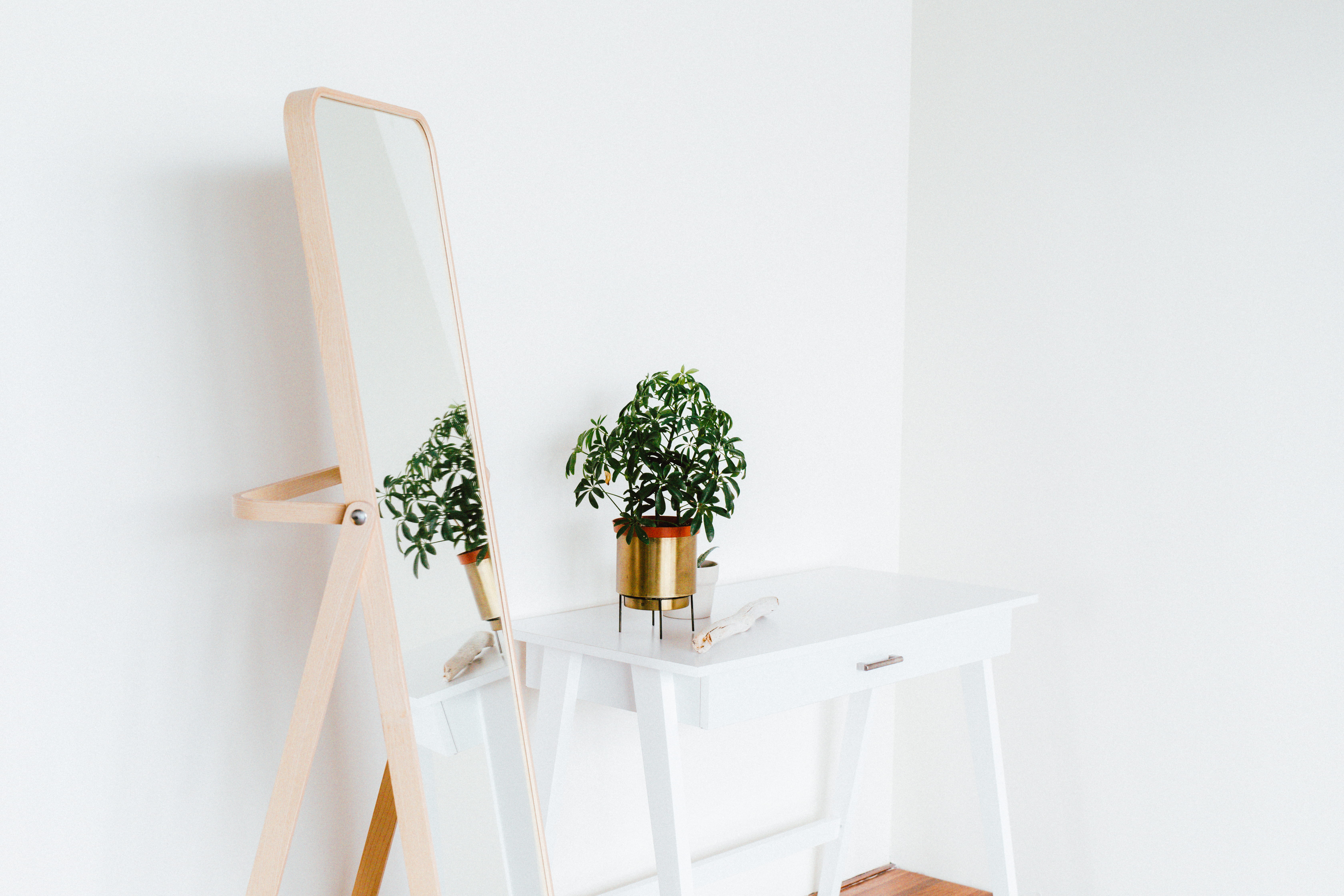 wall - building feature, freshness, nature, seat, beside, plant, interior design, growth, side, table, beige, copy space, flower pot, house plant, day, HD Wallpaper