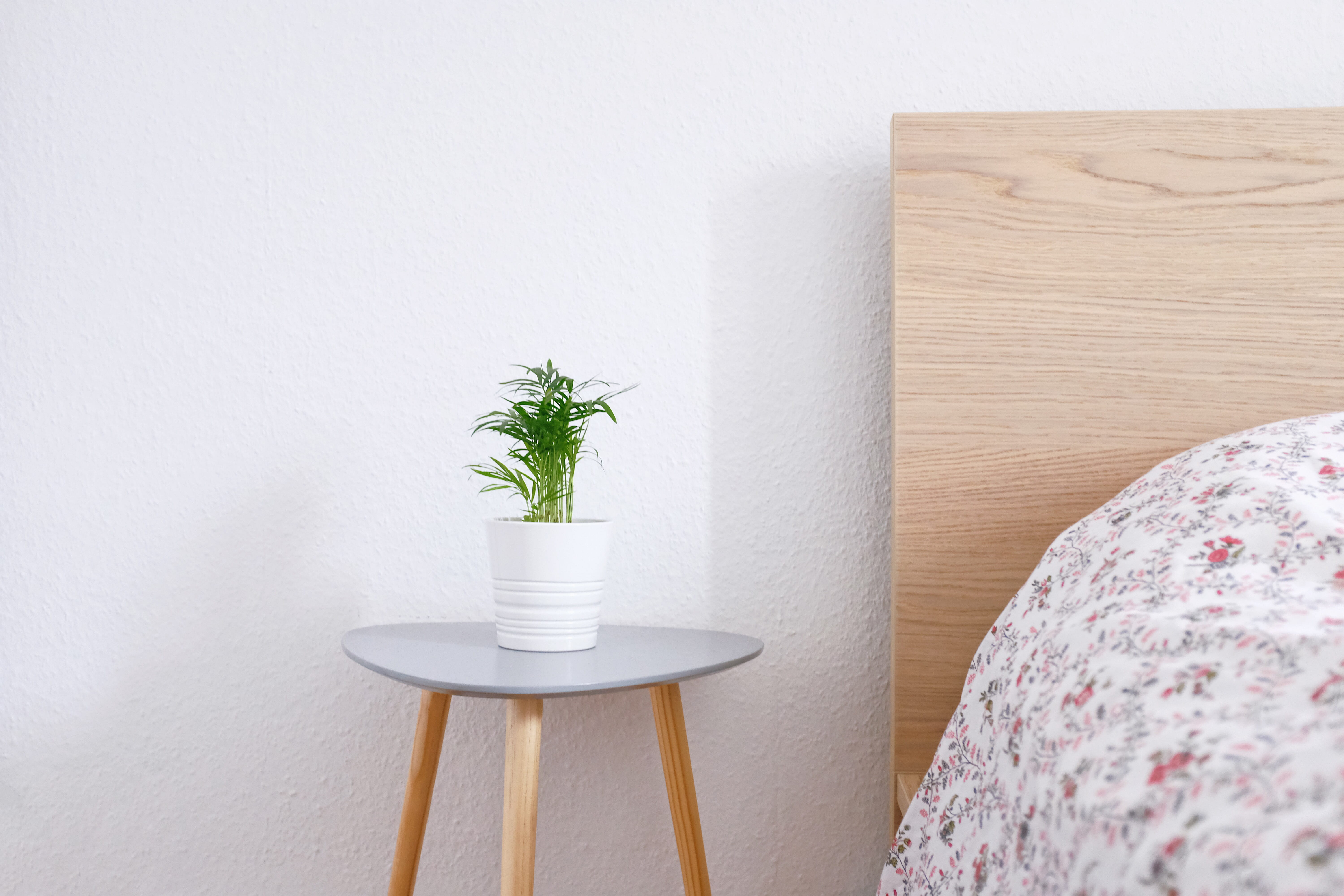 brown, wall - building feature, tabletop, wooden, indoors, home interior, furniture, bed, home decor, table, pillow, vase, no people, plant, flower, house, HD Wallpaper