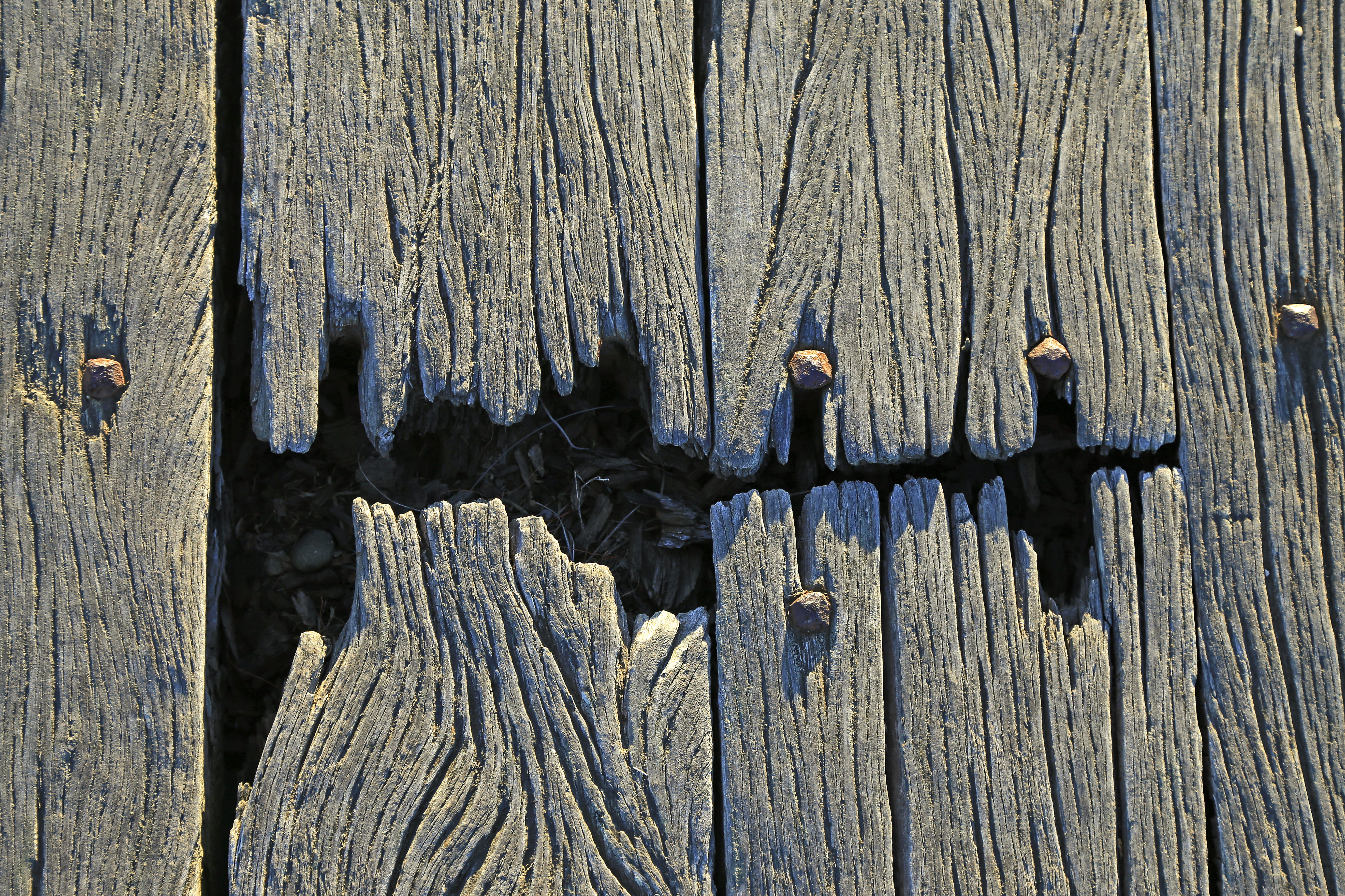 building, hardwood, nature, animal, plywood, 5K, bridge, rotten, worn, texture, wood - material, cracked, boundary, pattern, dark, timber, old, fence, HD Wallpaper