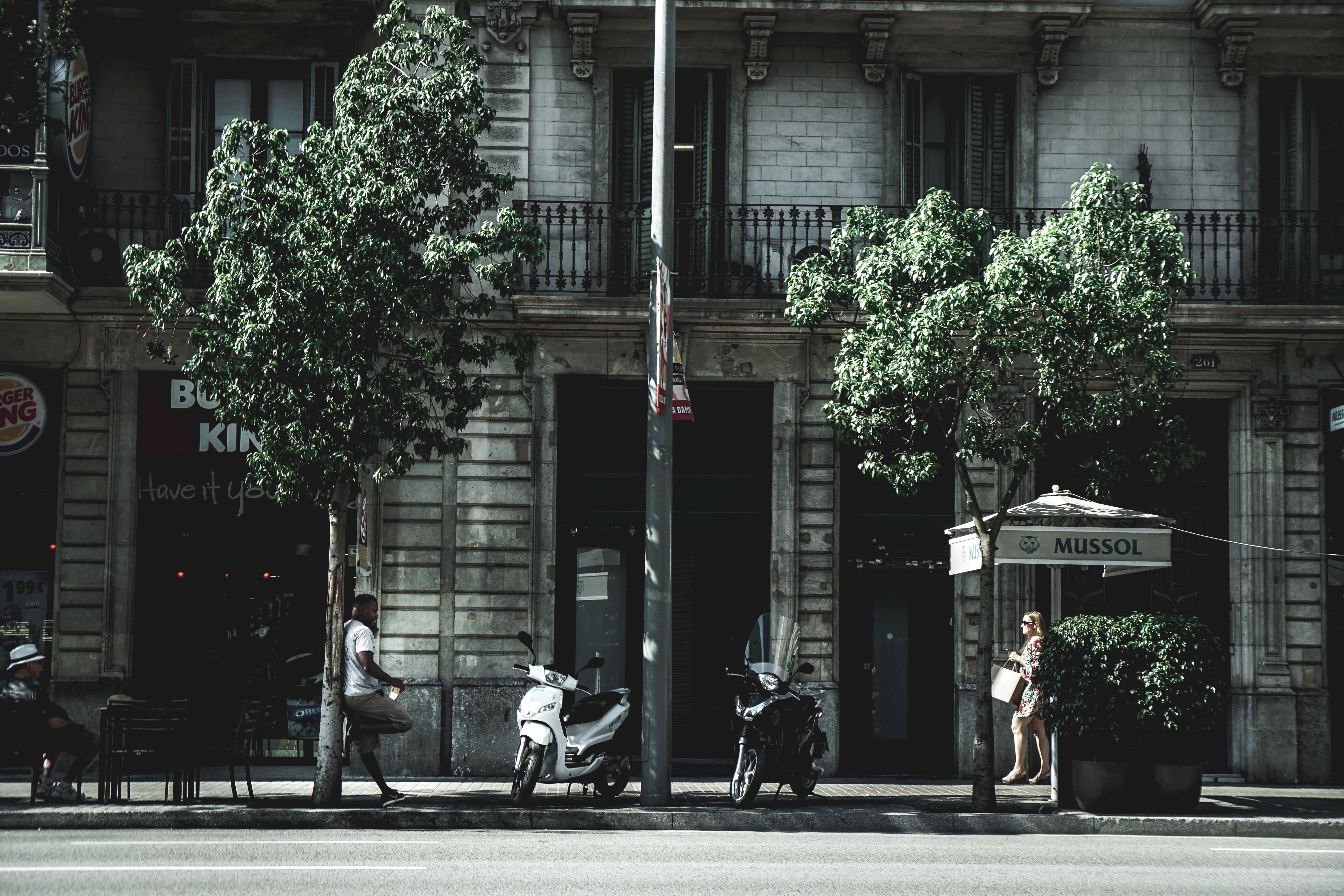 plant, transportation, scooter, wheel, group of people, motor, person, day, pedestrian, tarmac, 5K, urban, vehicle, built structure, tree, road, real people, HD Wallpaper