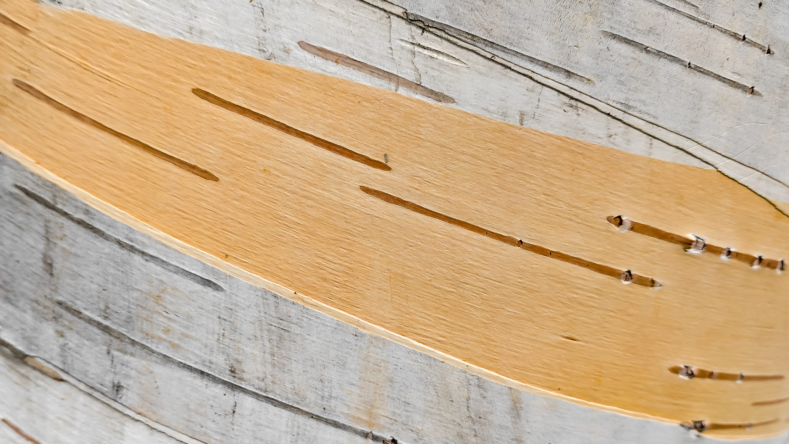 plywood, sunlight, backgrounds, grey, orange, nature, crate, hardwood, gray, 2K, texture, bark, animal, day, no people, in a row, pattern, built structure, HD Wallpaper