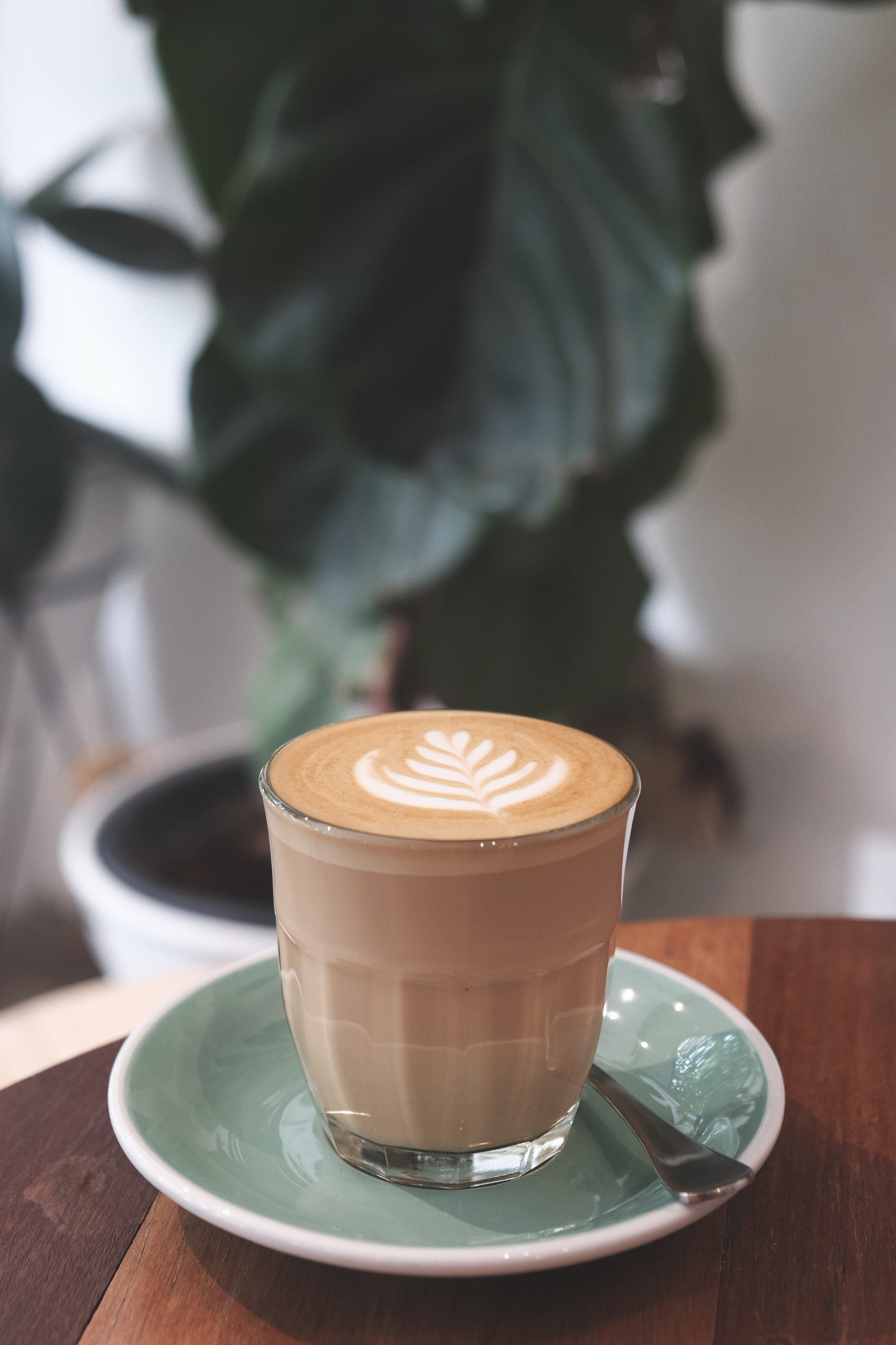 froth art, food and drink, one person, cafe, pottery, indoor, work, saucer, plant, beverage, crockery, cortado, plate, cappuccino, hot drink, indoors, coffee, Phone HD Wallpaper