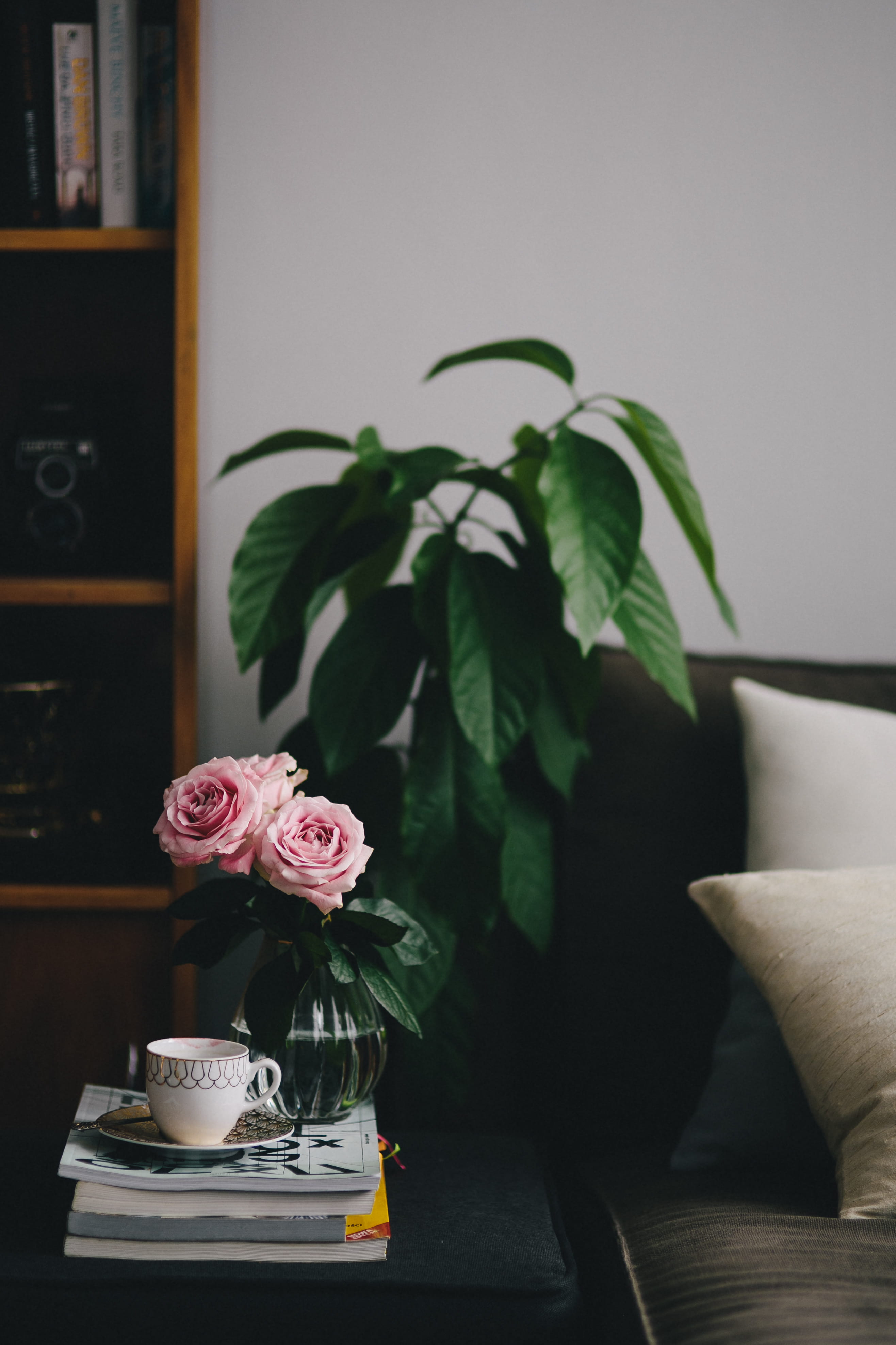 books, plant, flower, sofa, comfortable, coffee - drink, leaf, reading, coffee table, crockery, living Room, interior, flowering plant, home Interior, nature, Phone HD Wallpaper