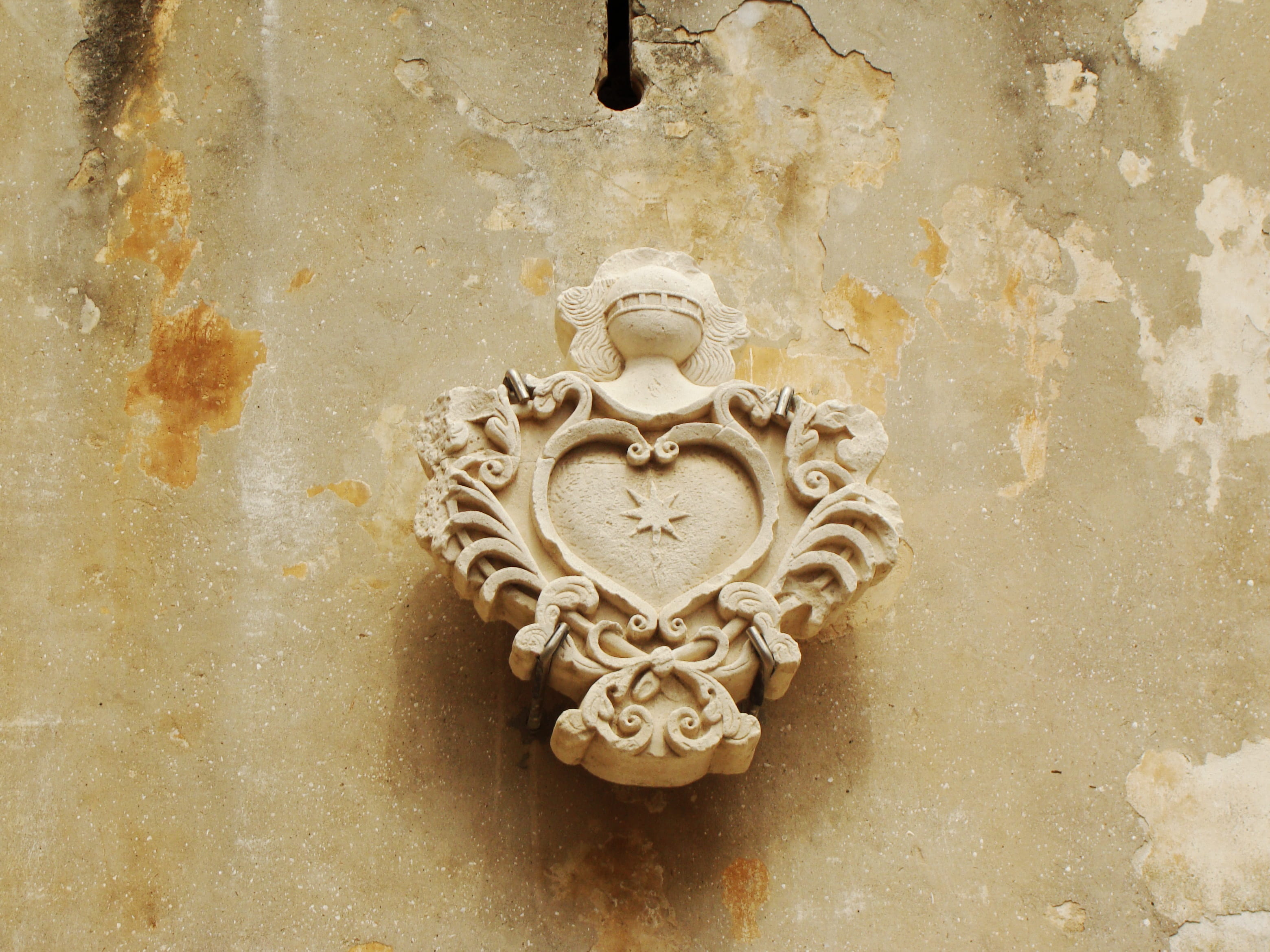 floral pattern, ancient, shield, design, carving, the past, coat of arms, bas relief, facade, wall - building feature, sculpture, representation, metal, HD Wallpaper