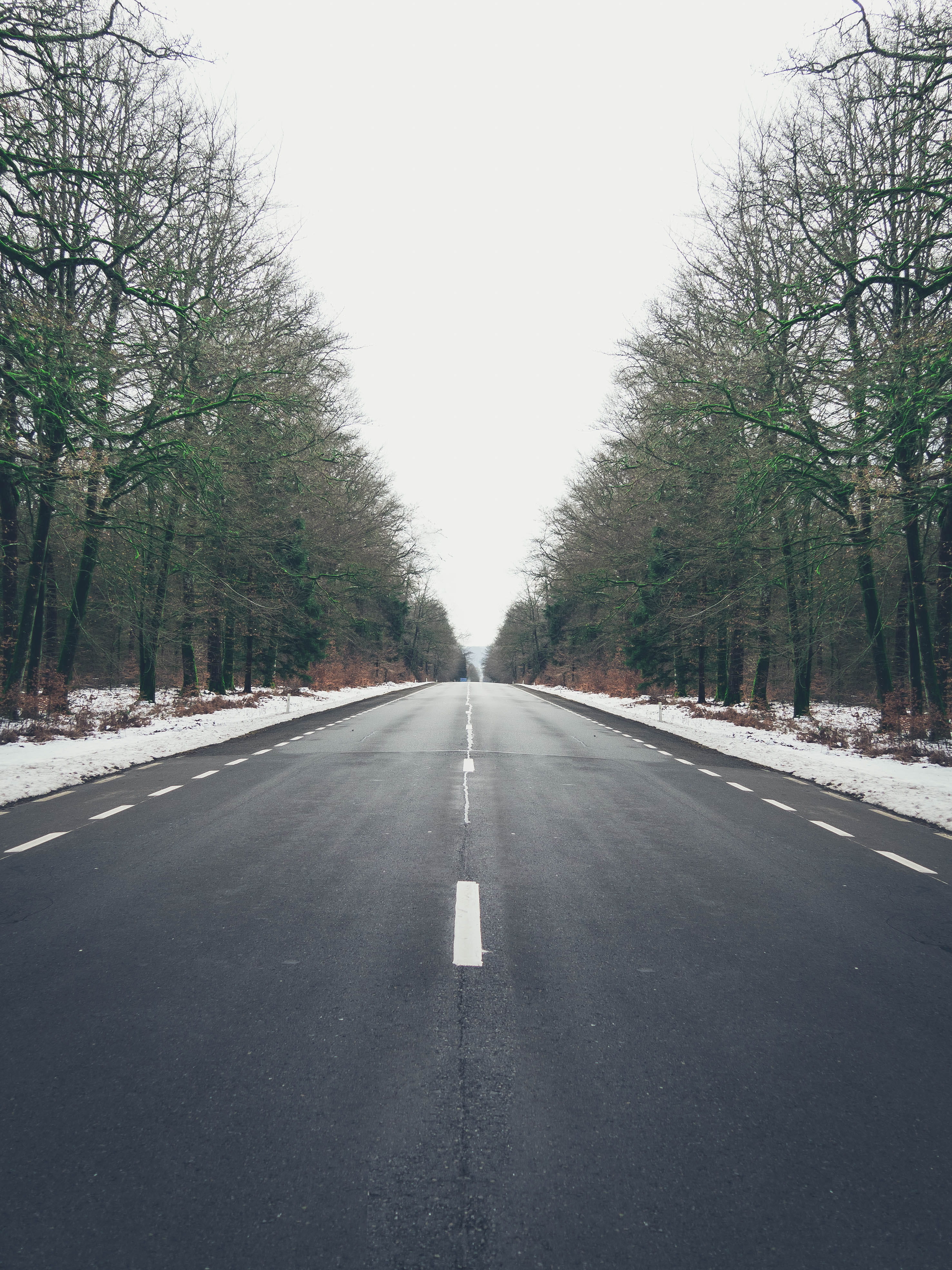 road, marking, way, outdoors, no people, snow, long sleeve, clothing, diminishing perspective, highway, 4K, sky, apparel, transportation, tree, dividing line, Phone HD Wallpaper