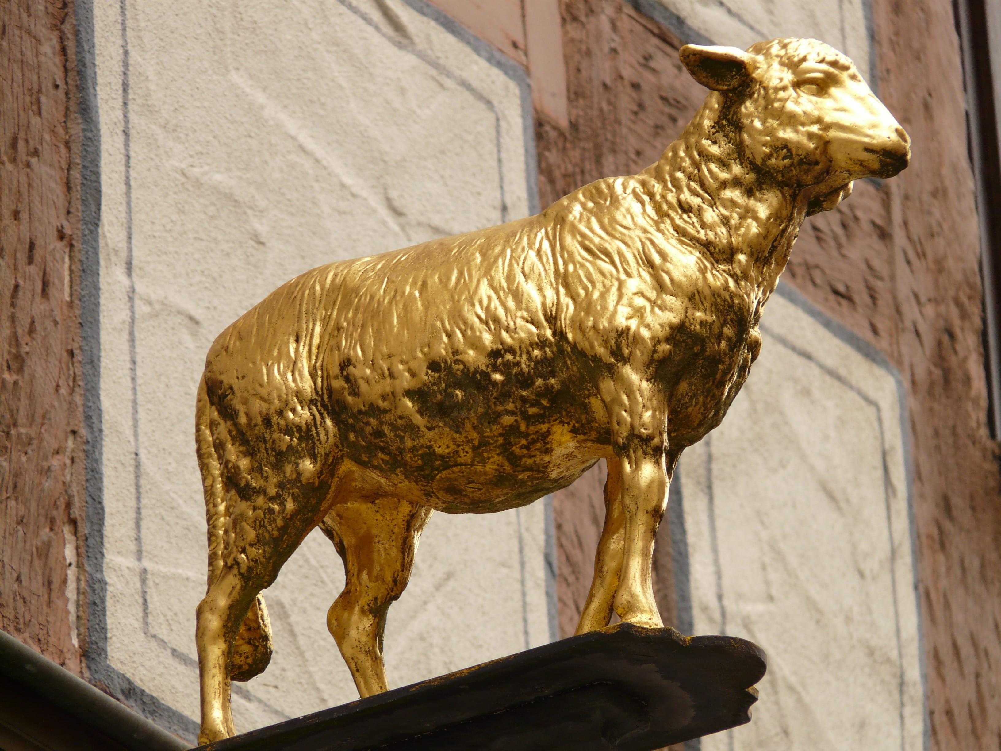 Lamm, nasal shield, no people, restaurant, Gold, Shield, sideboard, gold colored, sculpture, built structure, art and craft, advertising sign, gold lamm, HD Wallpaper