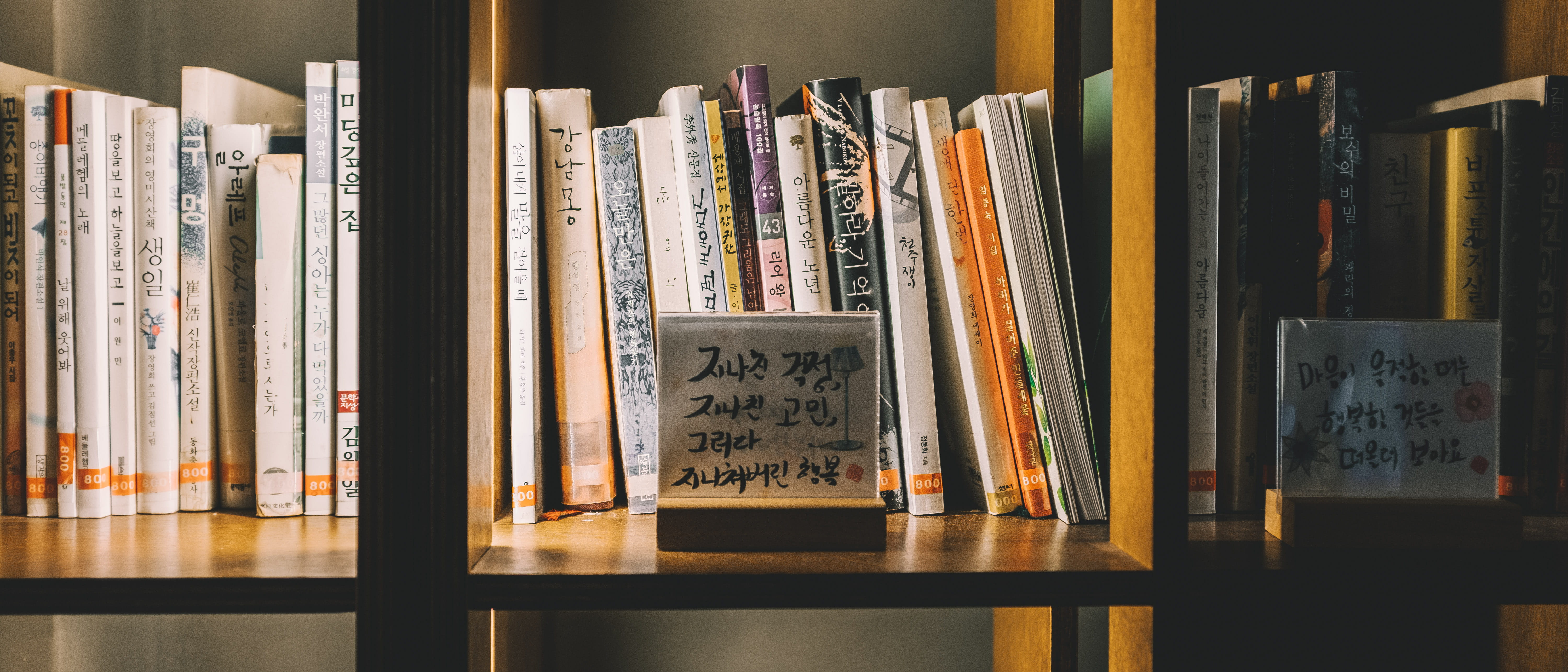 plywood, arrangement, no people, cupboard, literature, communication, bookcase, bookstore, table, publication, hardwood, furniture, interior design, large group of objects, HD Wallpaper