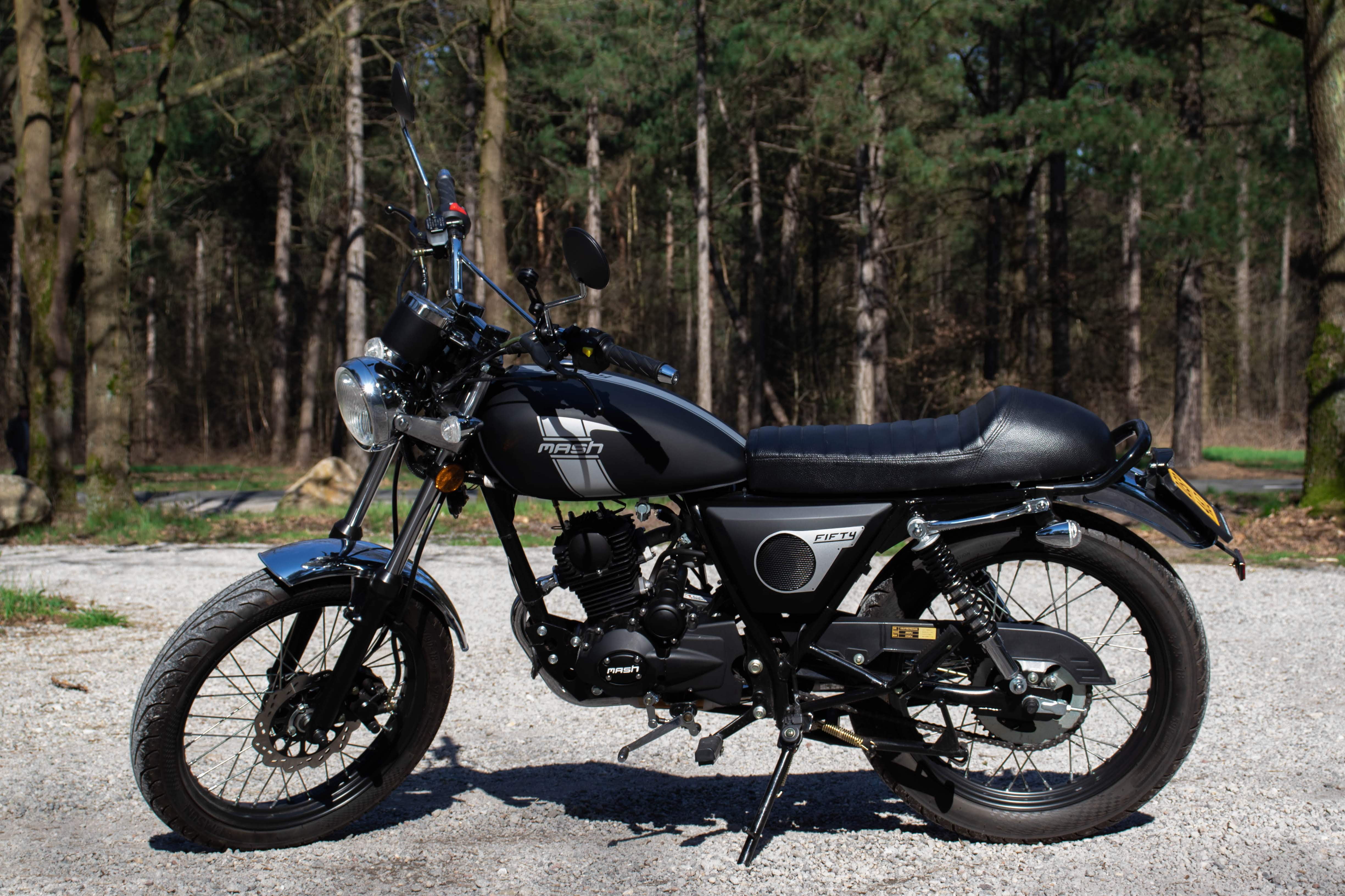 forest, Mash fifty, rats, closeup, 4K, cats, shoes, mopeds, HD Wallpaper