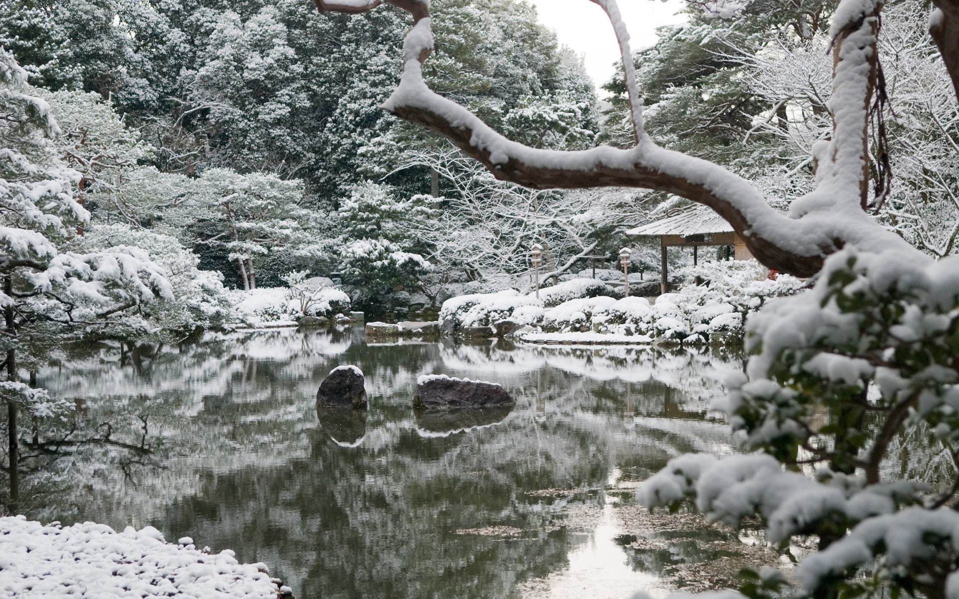 autumn, hd, winter, lakes, 1080P, nature, art, x, japan, garden, snow, HD Wallpaper
