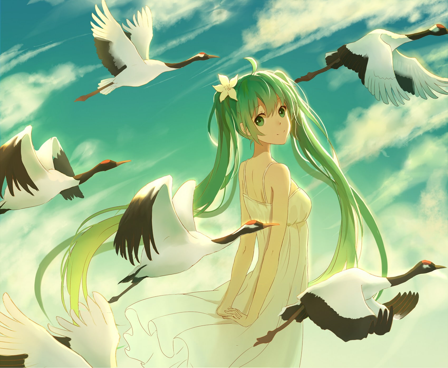 long hair, bird, anime girls, vocaloid, 720P, flower in hair, twintails, white, hair, clouds, miku, long, girls, flower, dress, anime, hatsune miku, white dress, HD Wallpaper