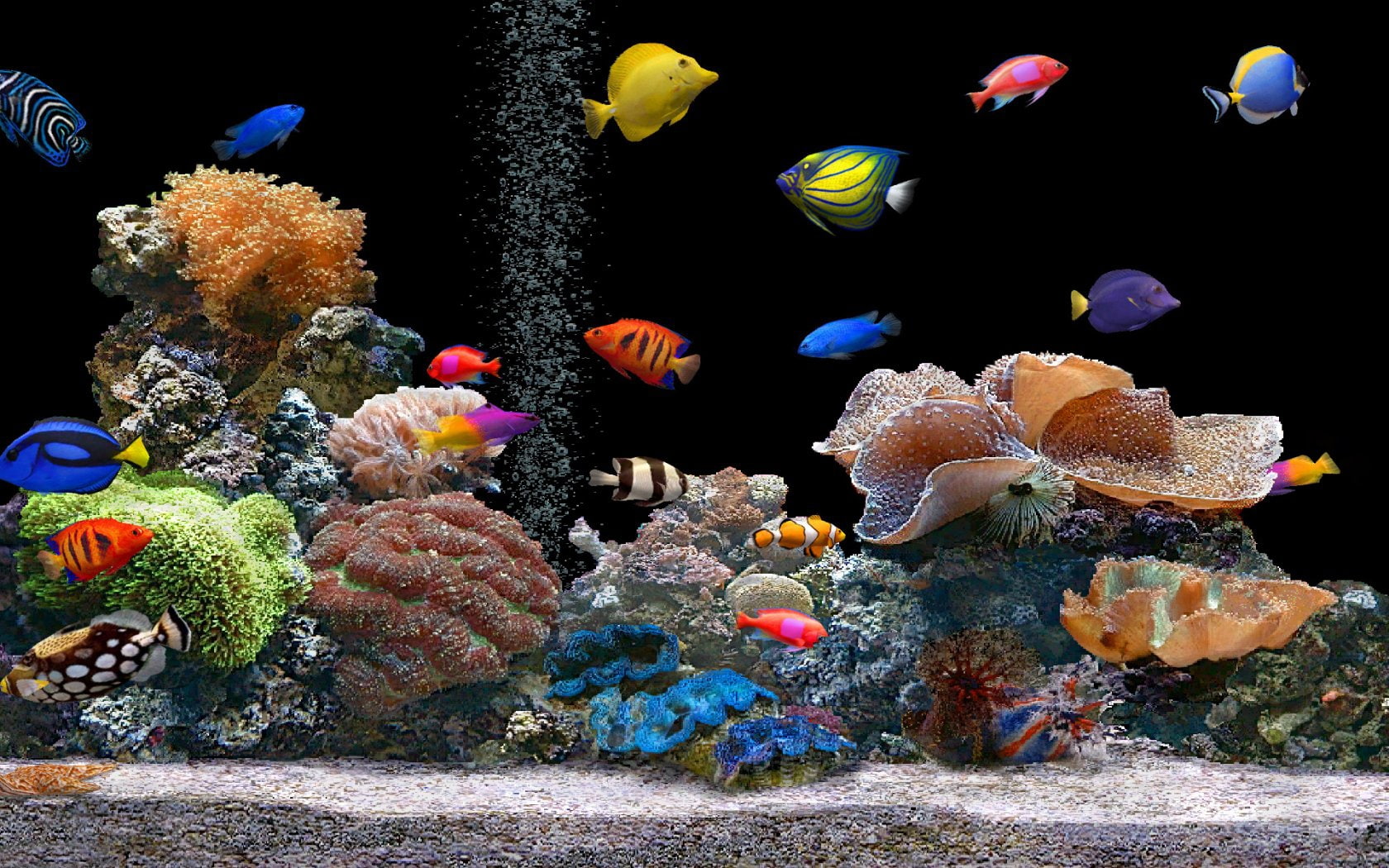 720P, art, animals, hd, AQUARIUM, x, FISH, HD Wallpaper
