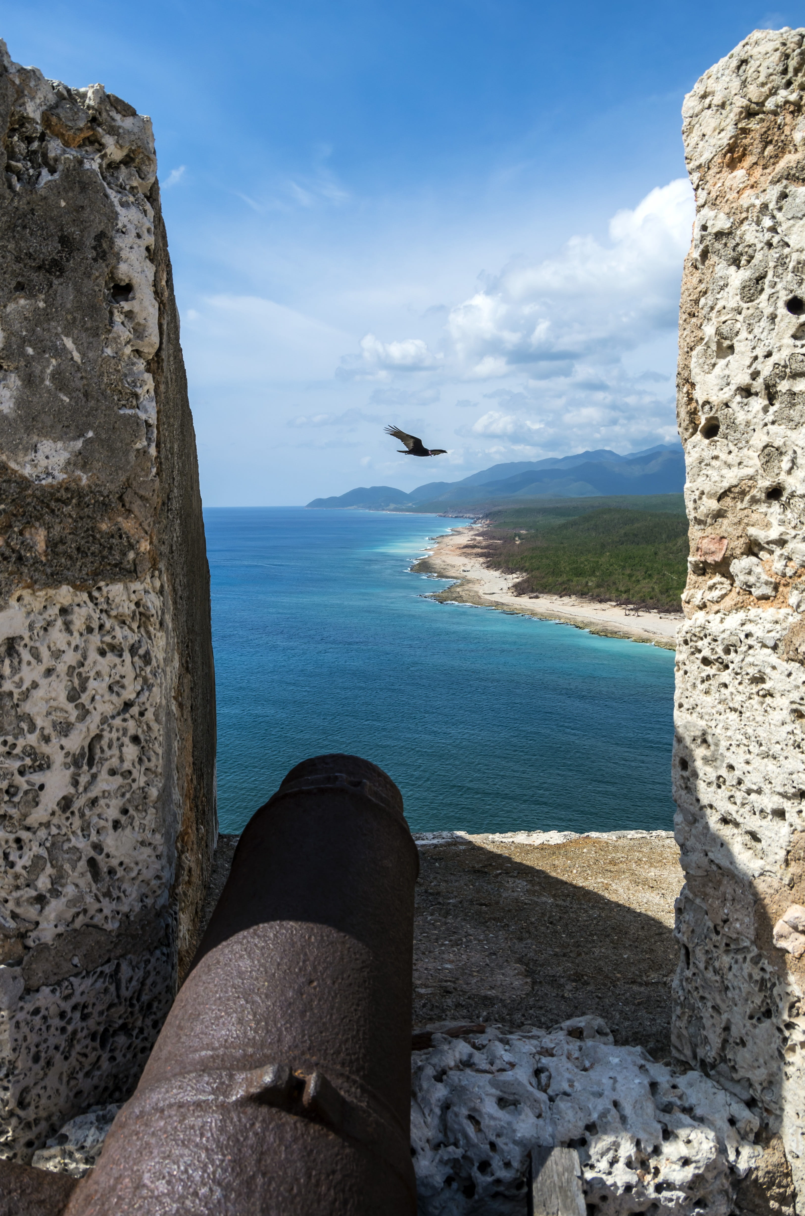 one person, rock - object, sea, gun, scenics - nature, animals in the wild, pirates, outdoors, santiago de cuba, seagull, sky, fort, rock, flying, cloud - sky, Phone HD Wallpaper