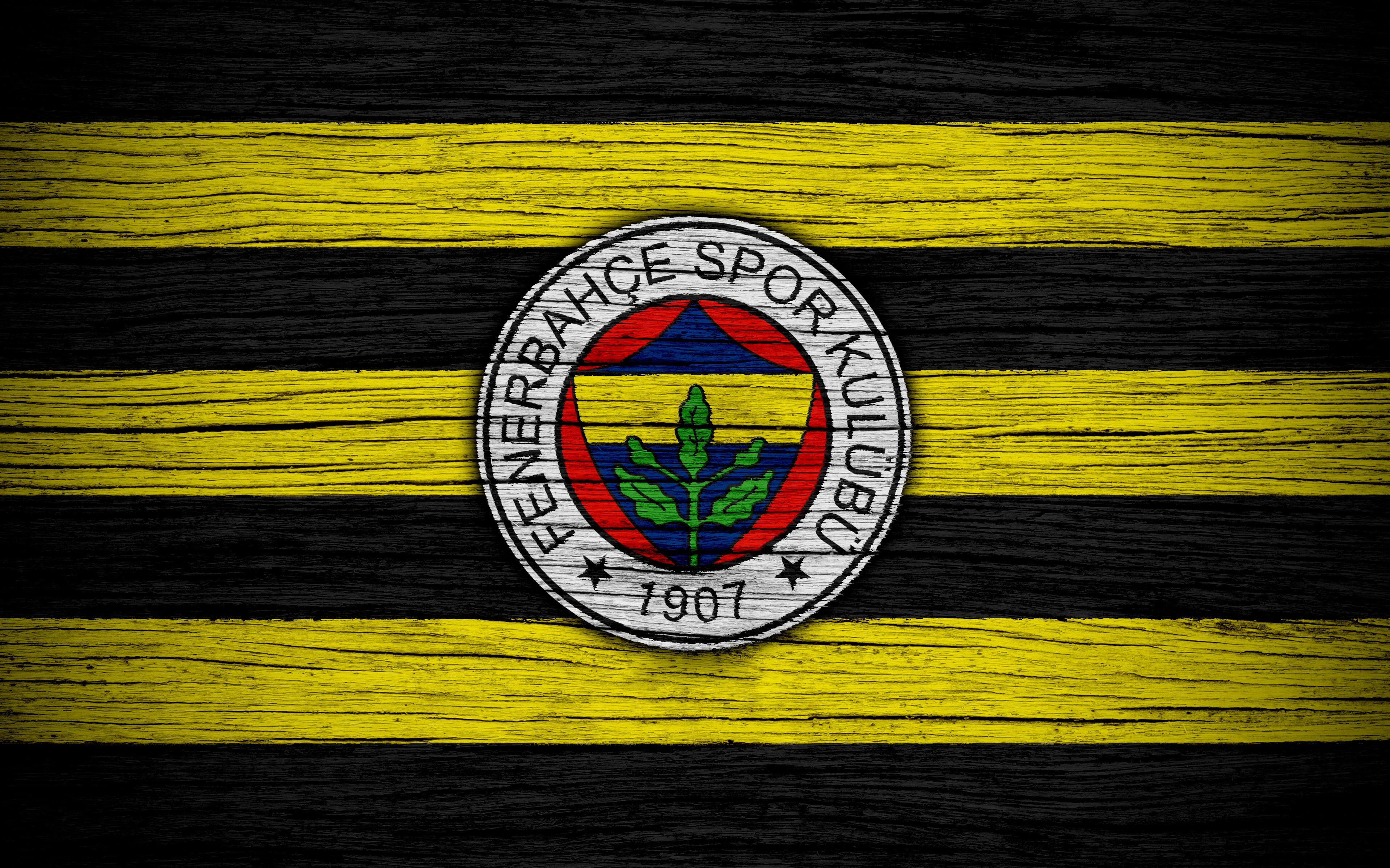 Fenerbahçe S.K., Logo, Soccer, 4K, Emblem, HD Wallpaper