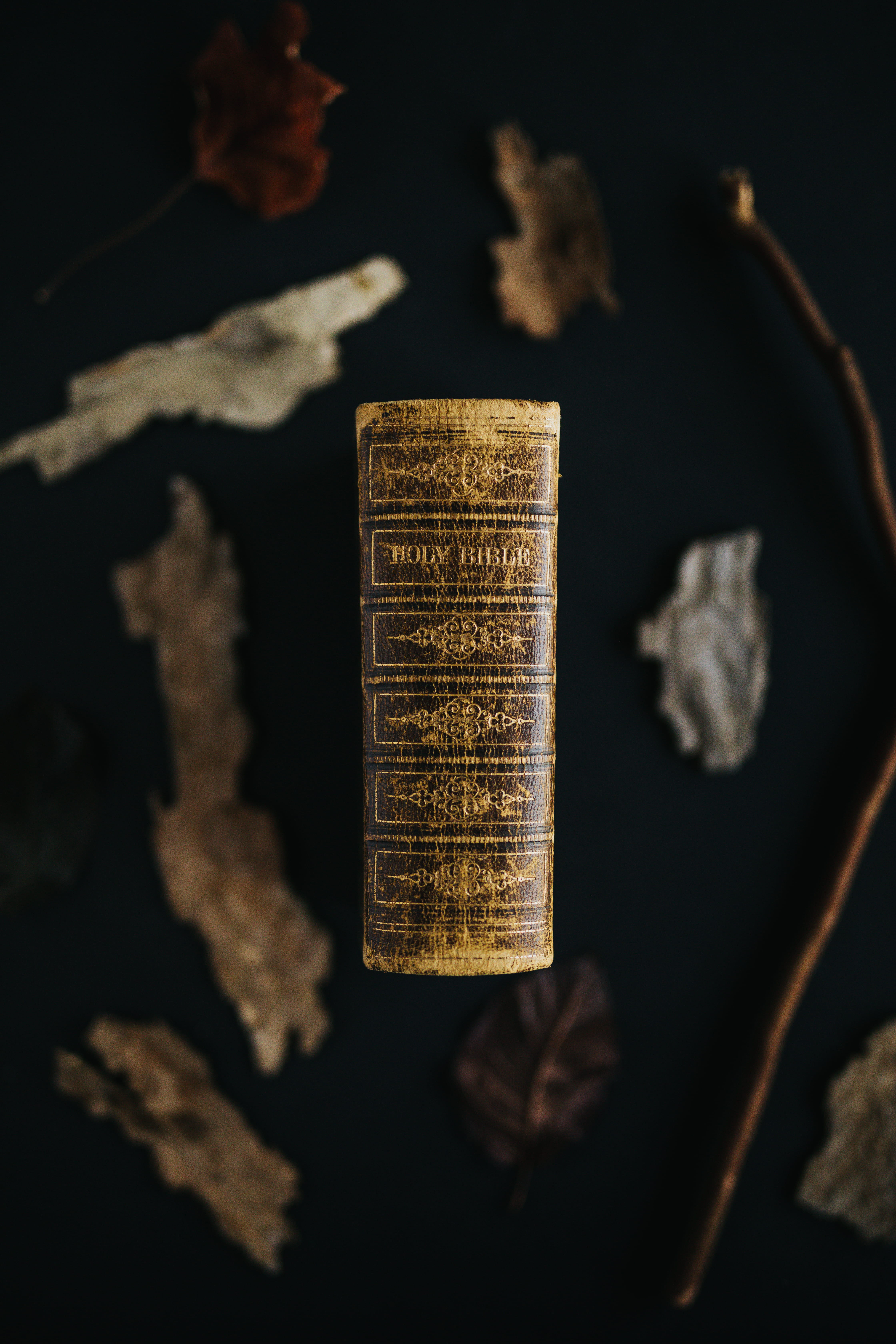 investment, 5K, business finance and industry, bronze, dried, brown, goblet, gold colored, savings, architecture, advertisement, archaeology, glass, economy, Phone HD Wallpaper