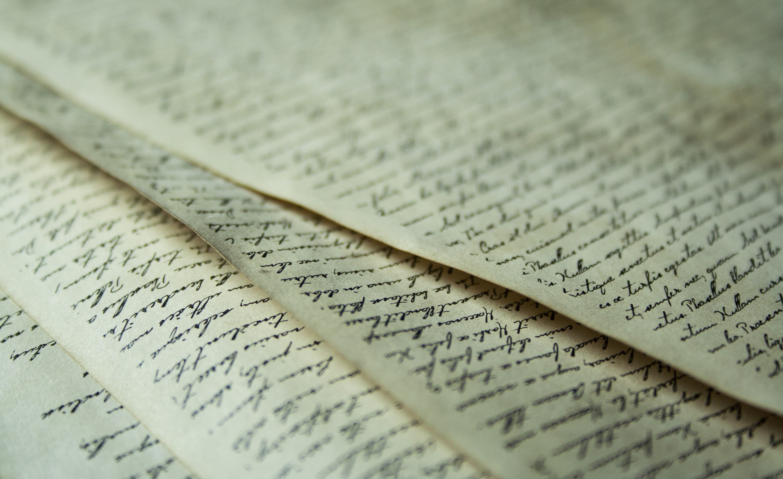 paper, parchment, typewriter, selective focus, printed, leave, photo, communication, indoors, letter, antique, retro, nature, still life, leaf, machine, HD Wallpaper