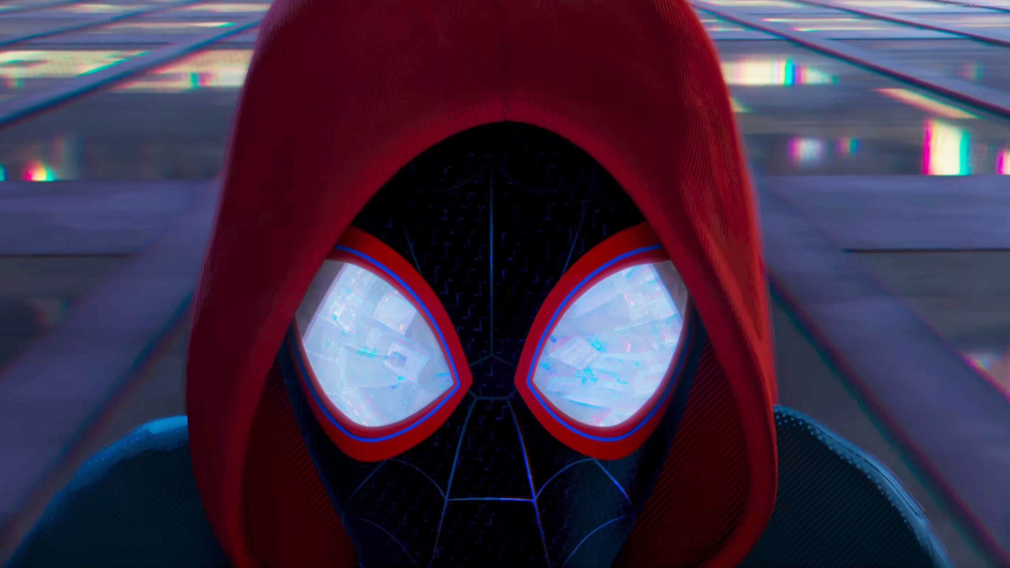 Spider-Man: Into the Spider-Verse, 4k, 4K, HD Wallpaper