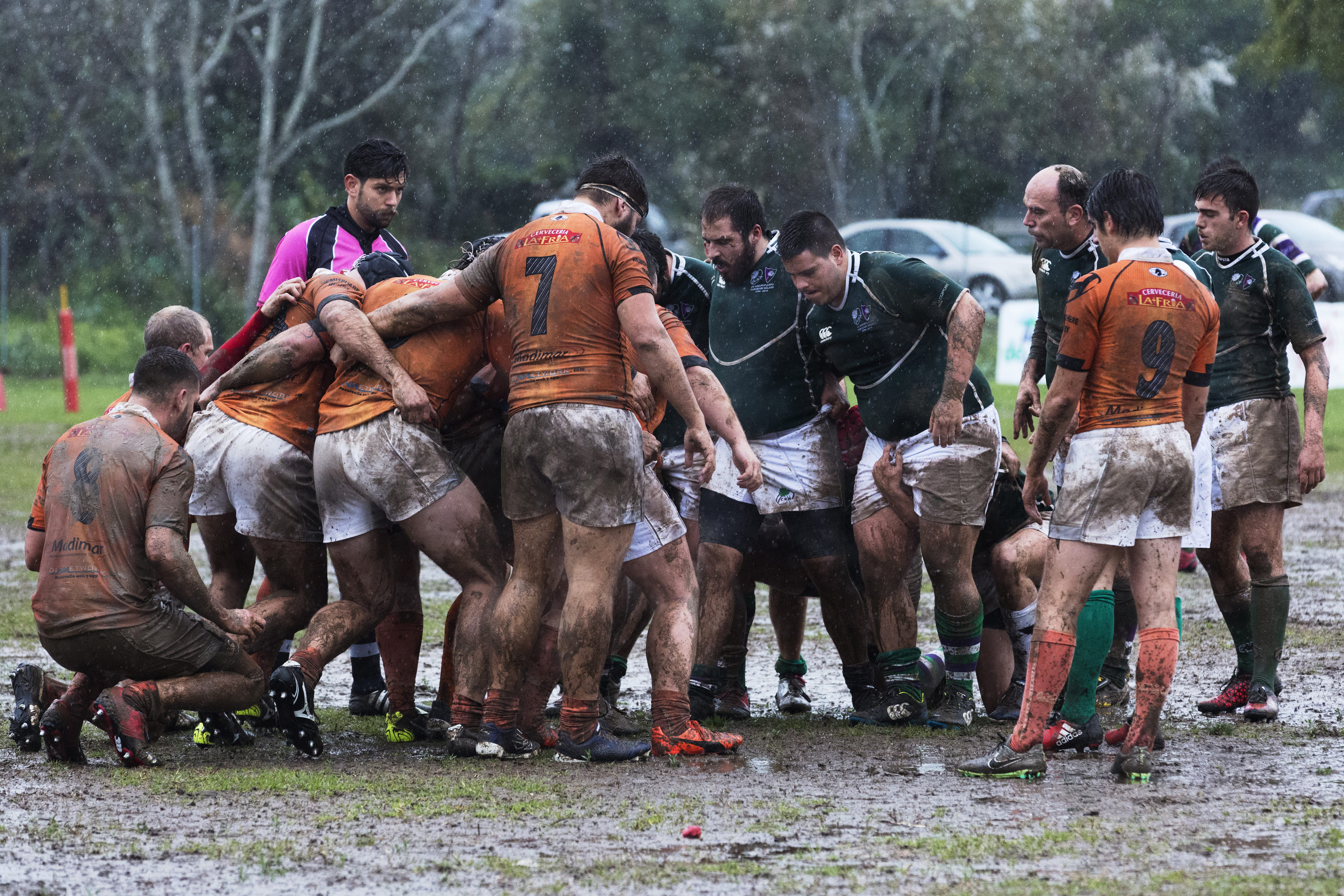 real people, mud, deporte, football, rugby, outdoors, domestic, deportistum, herbivorous, group of people, group of animals, quinoal, domestic animals, HD Wallpaper