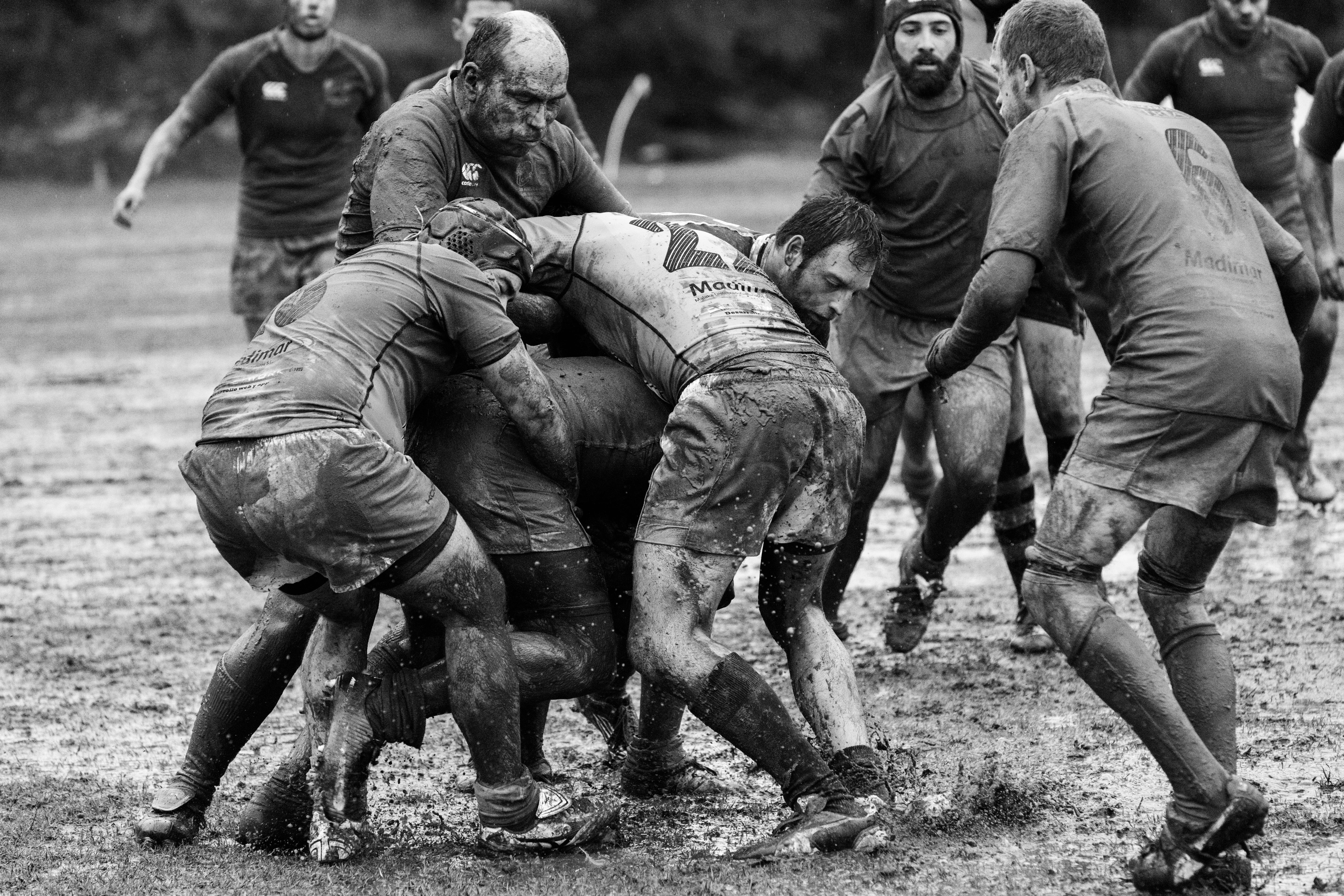 game, mammal, day, people, competition, lifestyles, domestic animals, group, rugby, untitled, real people, photography, marbella, mud, deporte, club de rugby málaga, HD Wallpaper