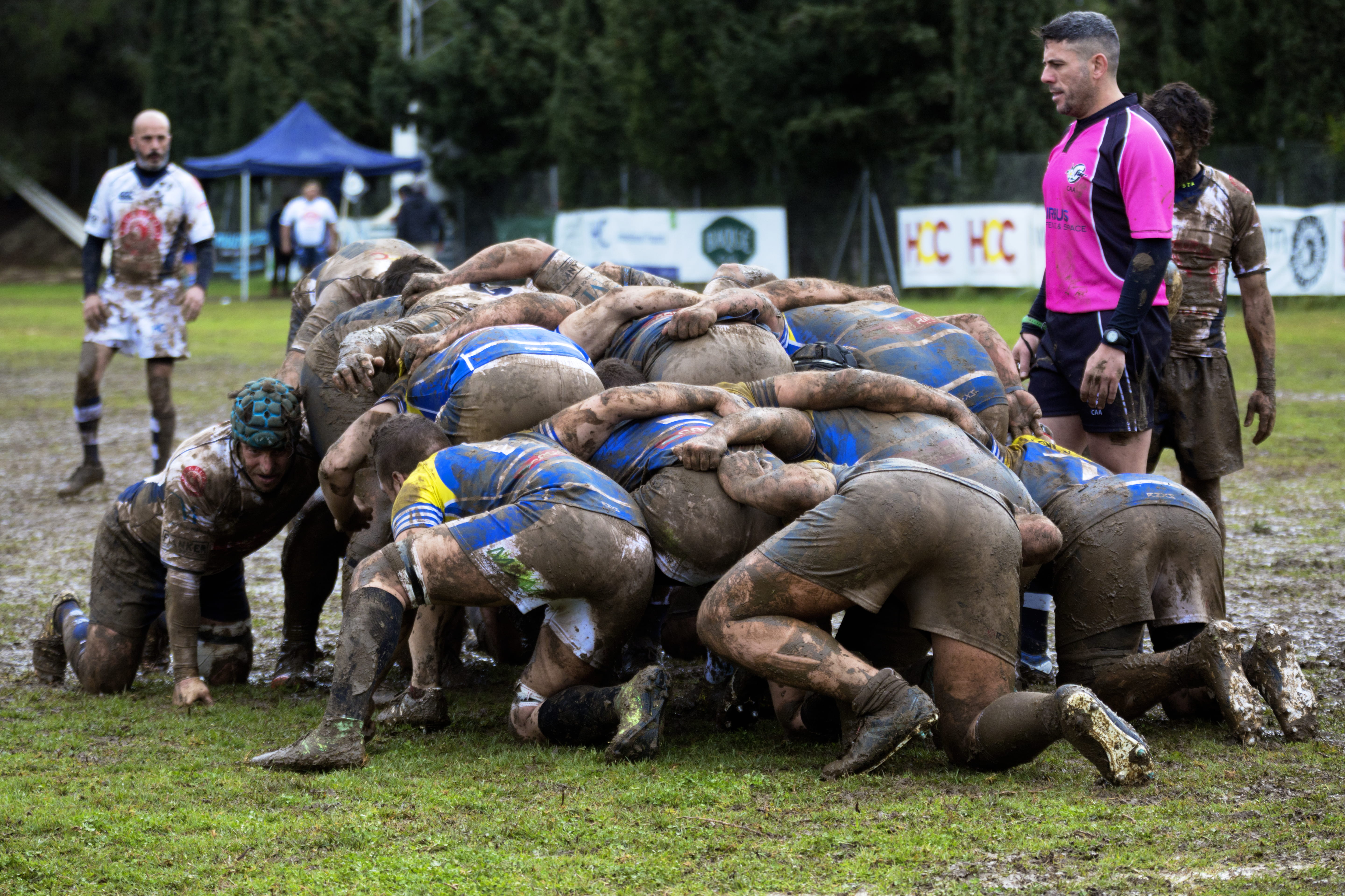 tough, playing, mammal, males, herbivorous, agriculture, incidental people, men, vertebrate, rugby, 5K, domestic, real people, blue, football, pets, government, HD Wallpaper