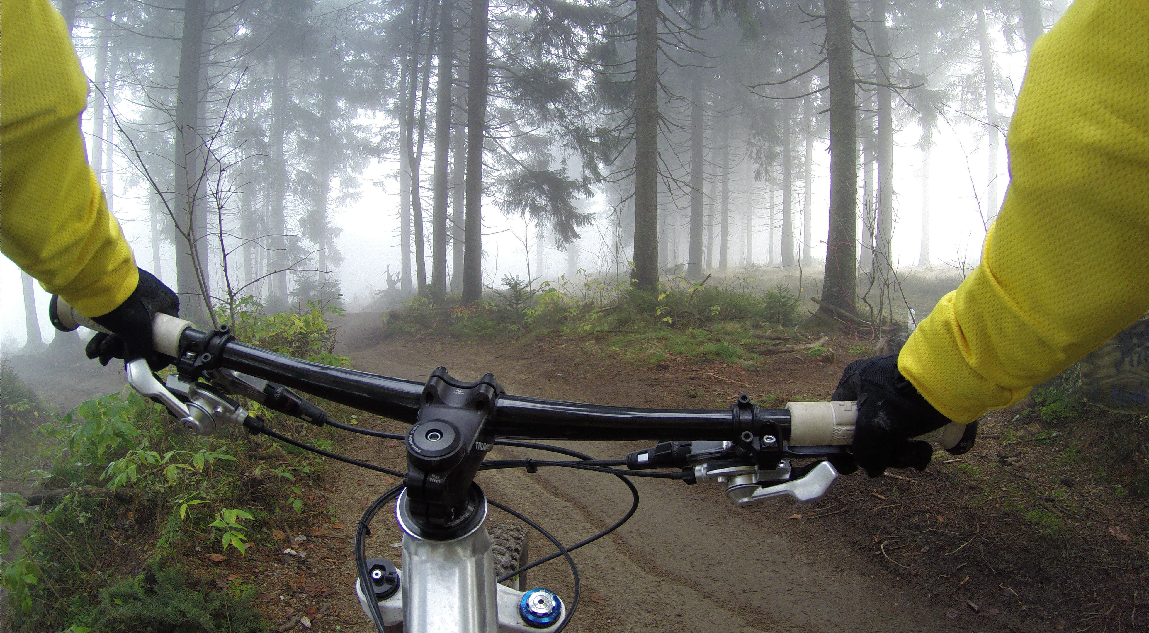 forest, human body part, fitness, day, mountain biking, ride, plant, mode of transportation, land vehicle, environment, handlebar, woodland, outdoors, active, HD Wallpaper
