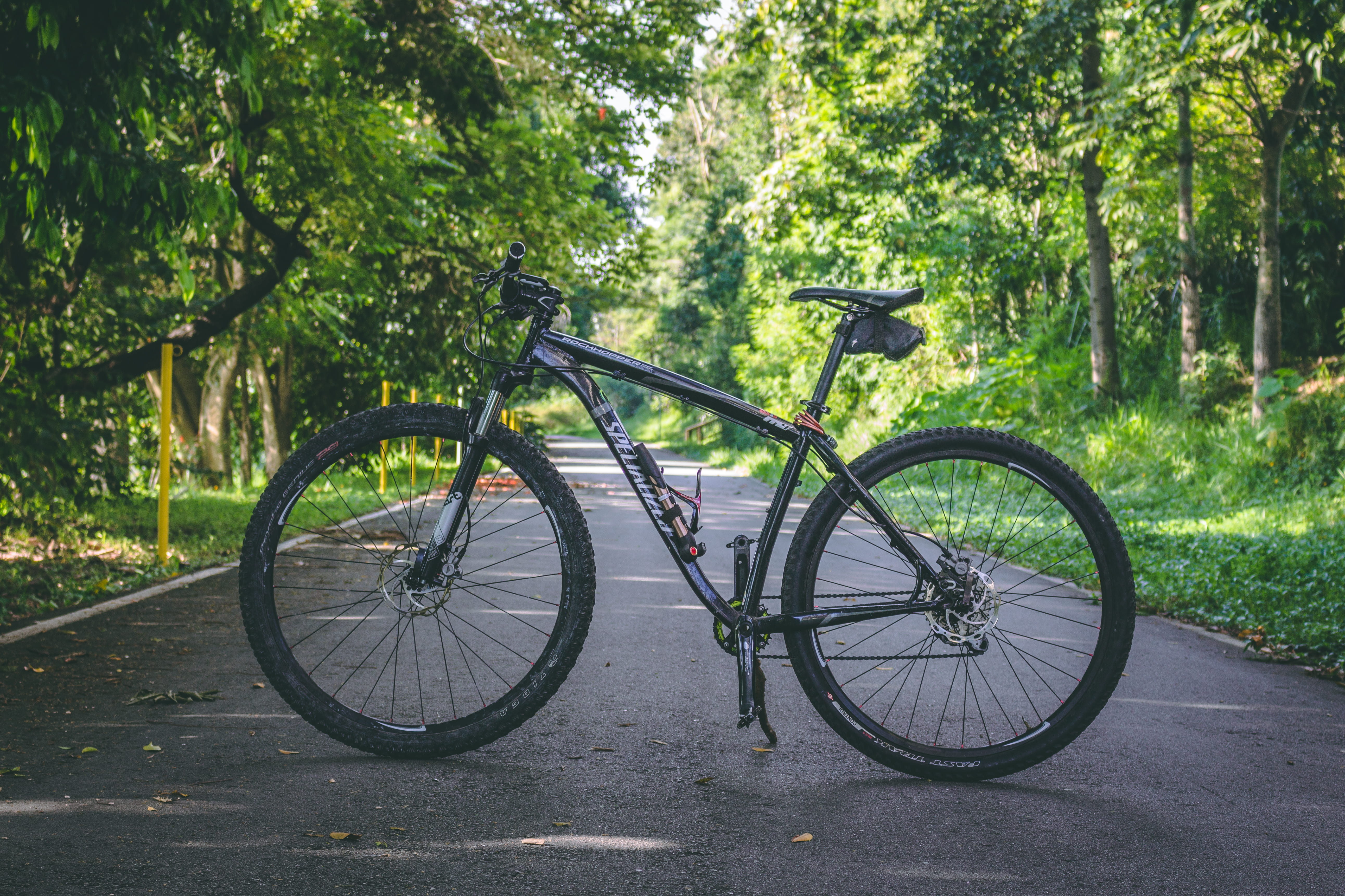wheel, mountain bike, exercise, journey, day, hardtail, garden, outdoors, stand, parking, forest, alone, no people, green color, transportation, bike, land, HD Wallpaper