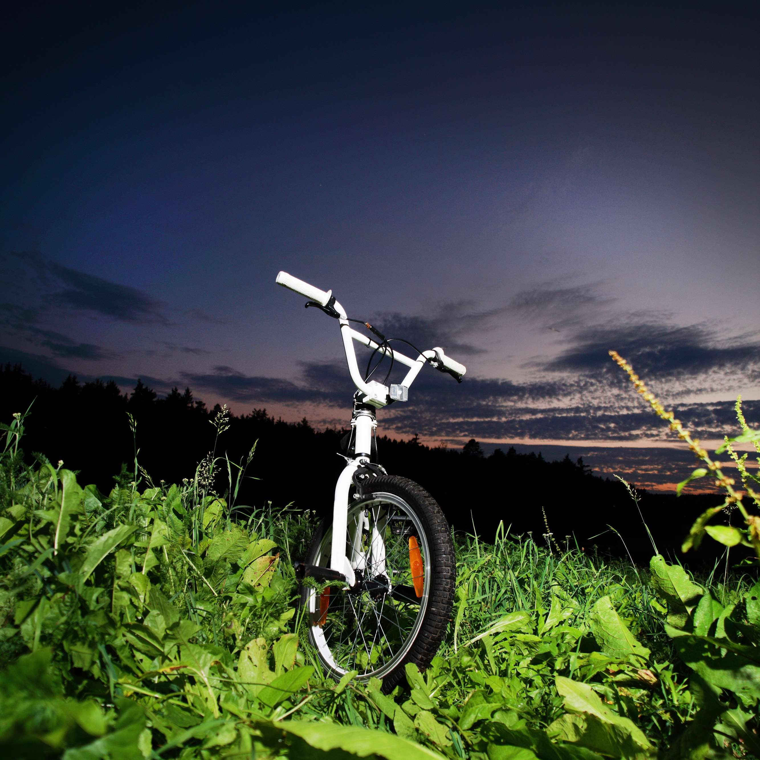 bmx, field, sky, green color, cyclists, nature, stationary, summer, mode of transportation, cycling, plant, environment, transportation, touring bike, tire, Phone HD Wallpaper