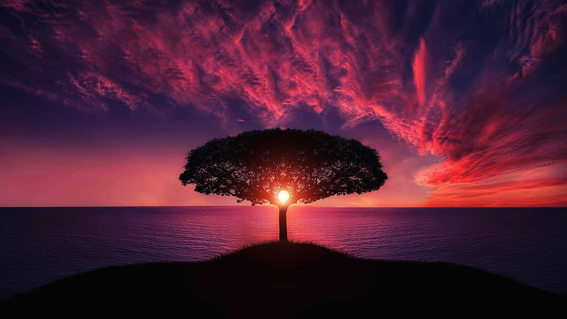 8k, Amazing, 1080P, sunset, 4k, HD, HD Wallpaper