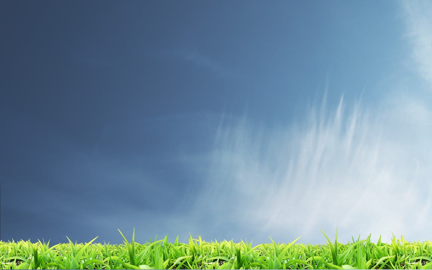 nature, landscape, green color, day, plants, blue, plain, sky, land, grass, 720P, growth, wind, copy space, plant, cloud - sky, springtime, beauty in nature, HD Wallpaper