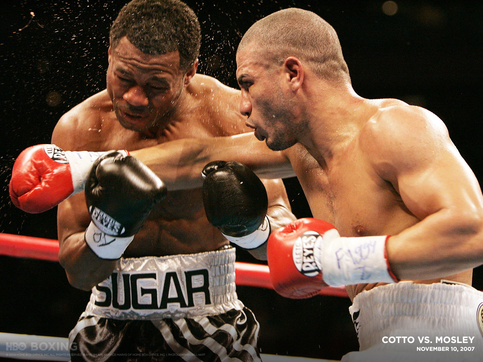 hd, 720P, boxing, sports, HD Wallpaper