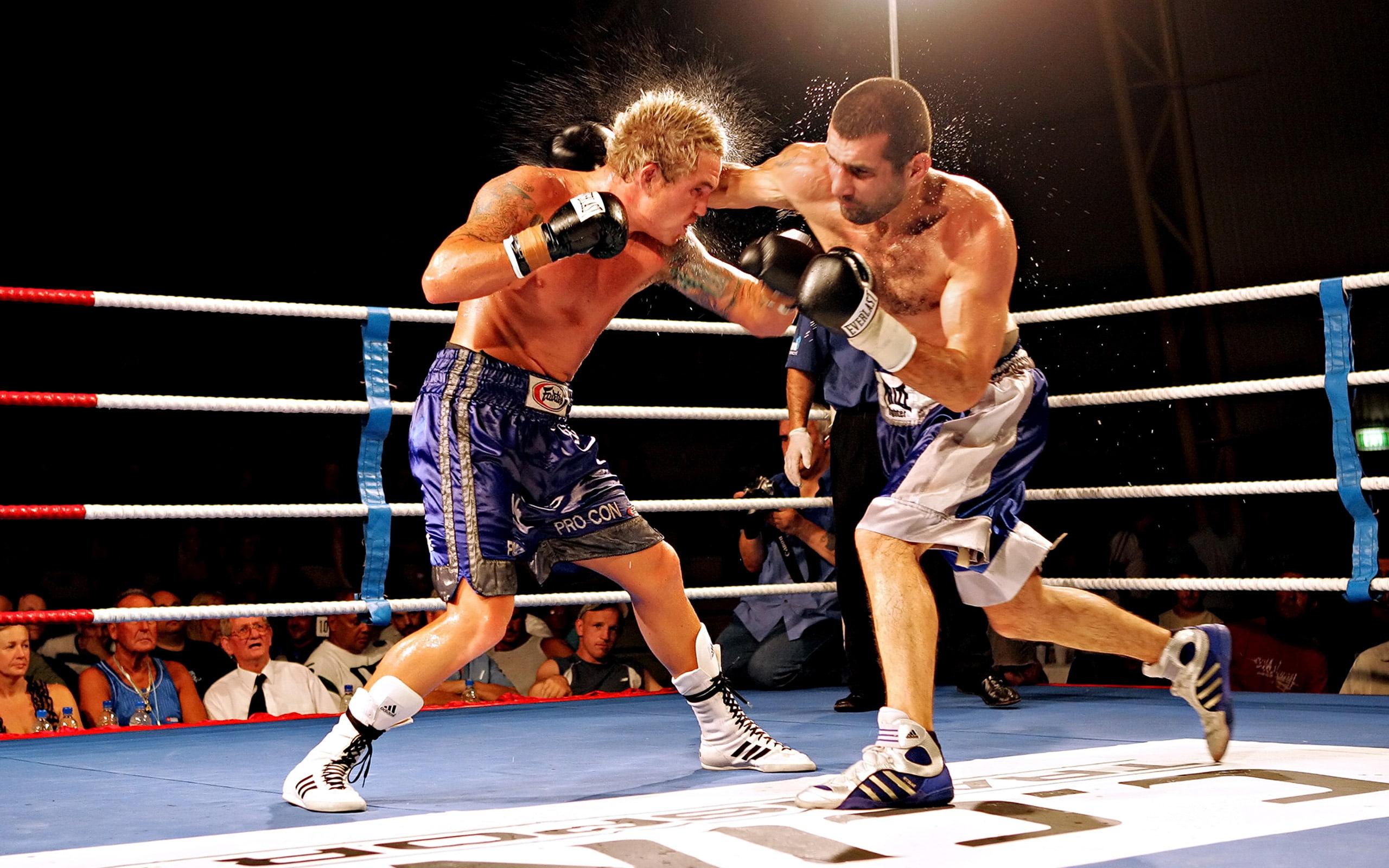 2K, fight, competition, ring, boxing, HD Wallpaper