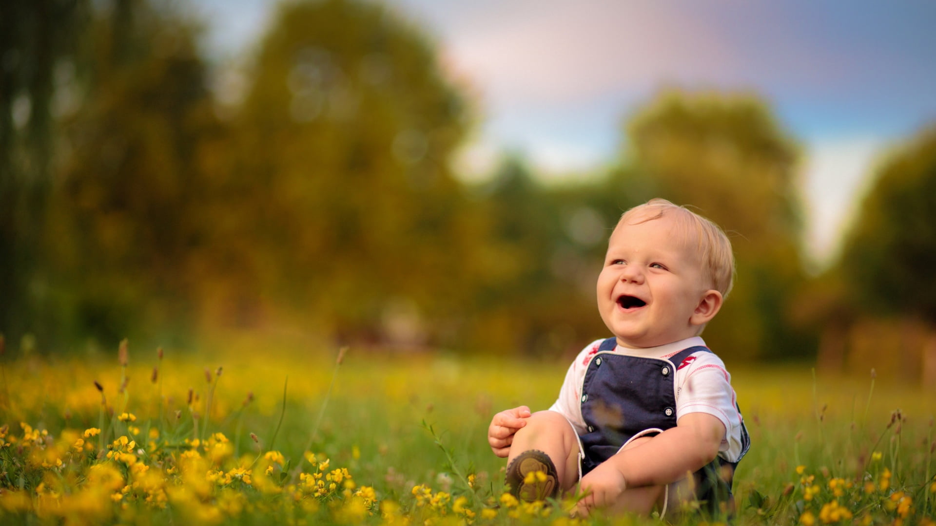 baby, lifestyles, grass, beautiful, beauty, boys, beauty In Nature, dandelion, people, boy, white, smiling, meadow, crew, men, babyhood, green Color, laughing, HD Wallpaper