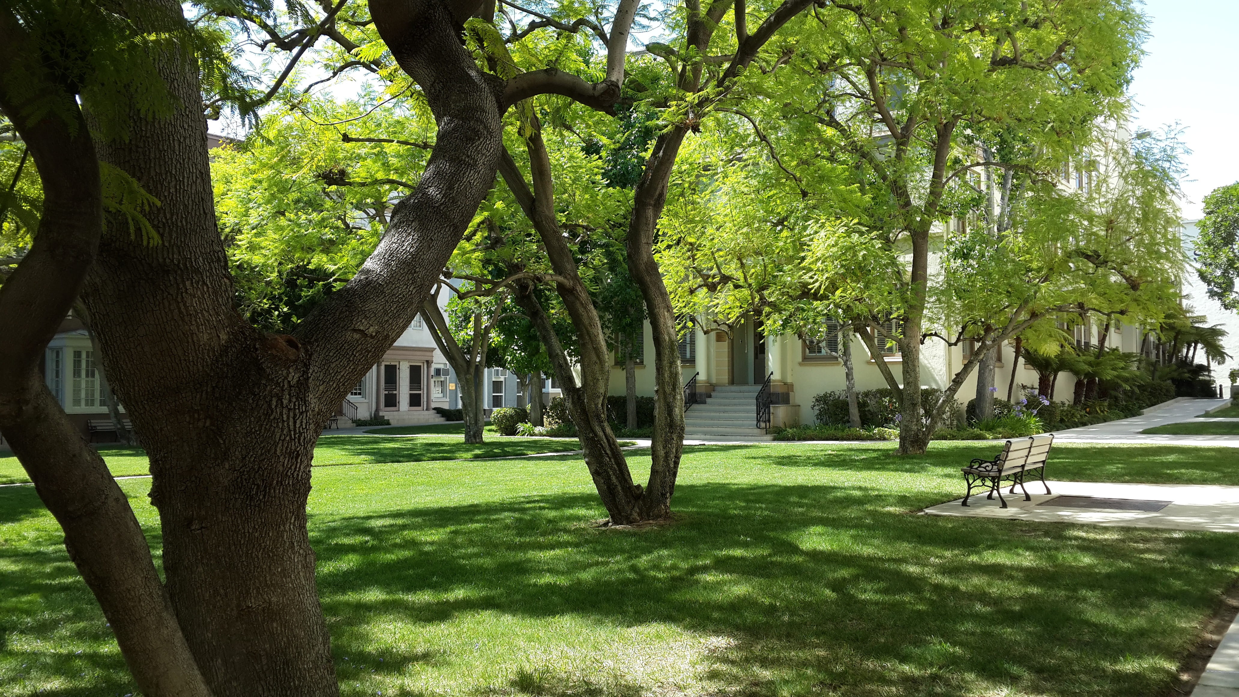 greenery, paramount, outdoors, plant, city, park - man made space, green color, day, growth, landscape, building, grass, tree, branch, sunlight, architecture, HD Wallpaper