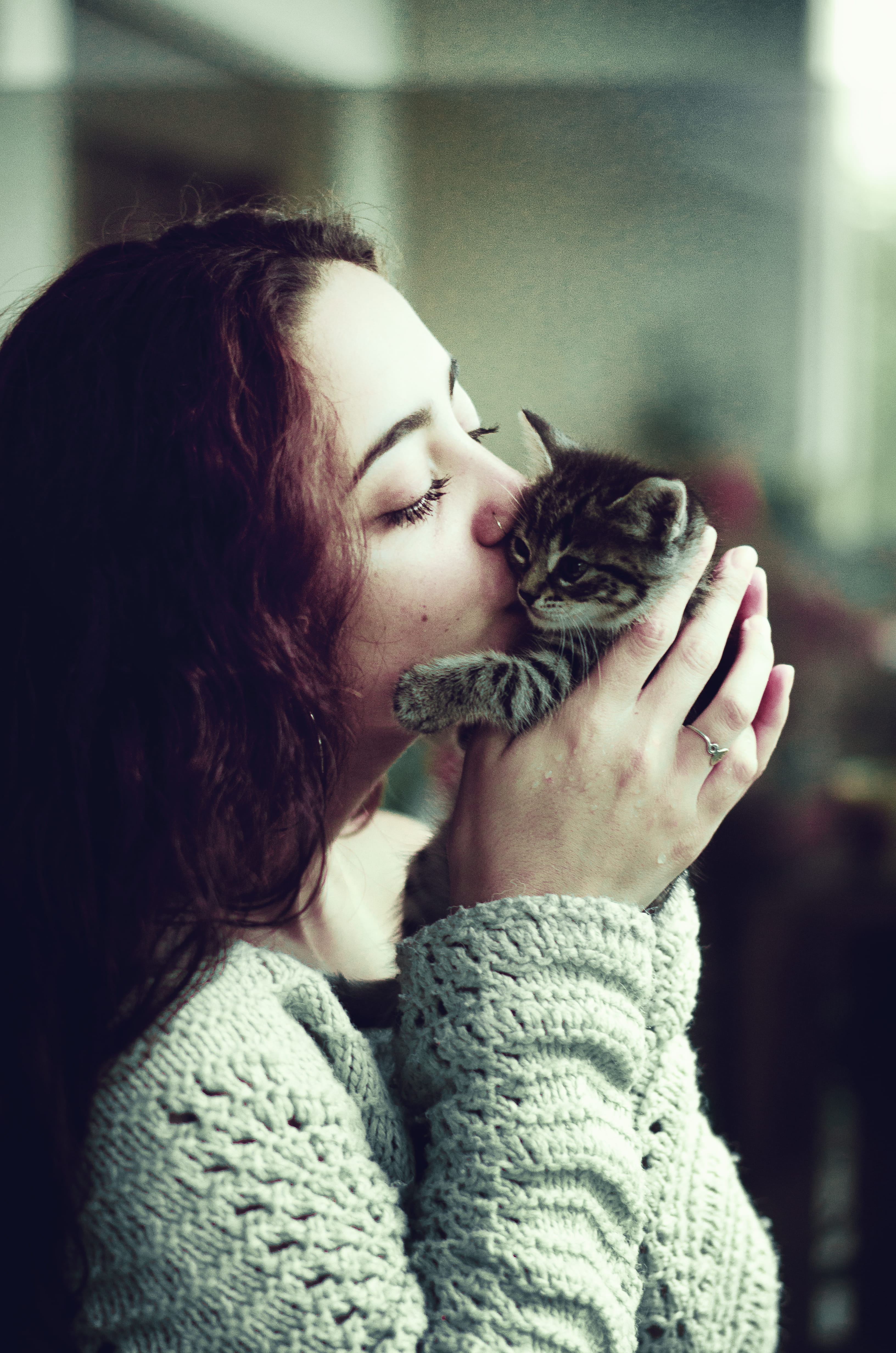 kissing, vertebrate, holding, gray, care, pet owner, one person, feline, animal, young adult, hairstyle, focus on foreground, female, argentina, person, Phone HD Wallpaper