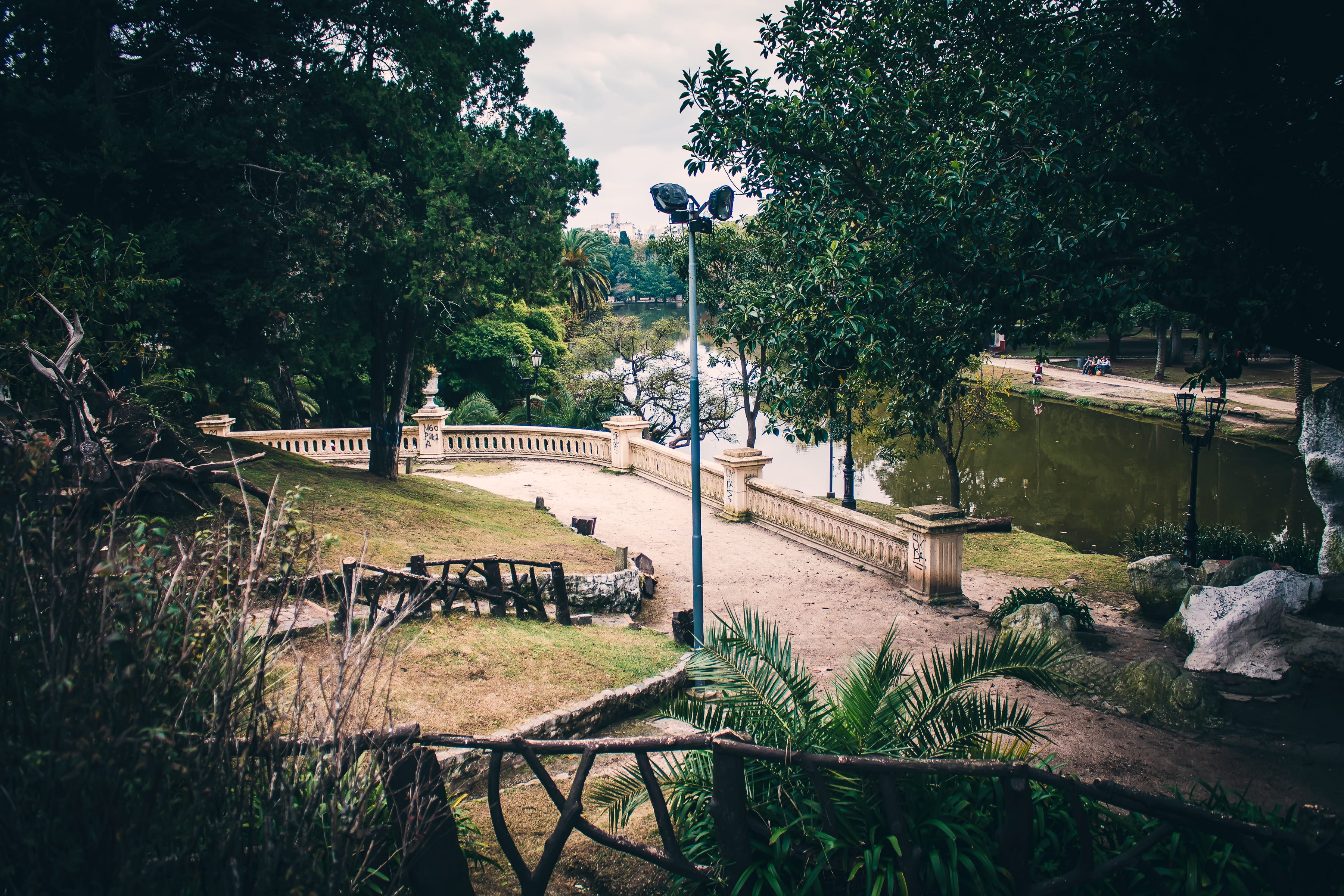 la plata, sky, lighting equipment, tree, stairs, street light, 2K, park - man made space, outdoors, garden, argentina, peaceful, growth, architecture, HD Wallpaper