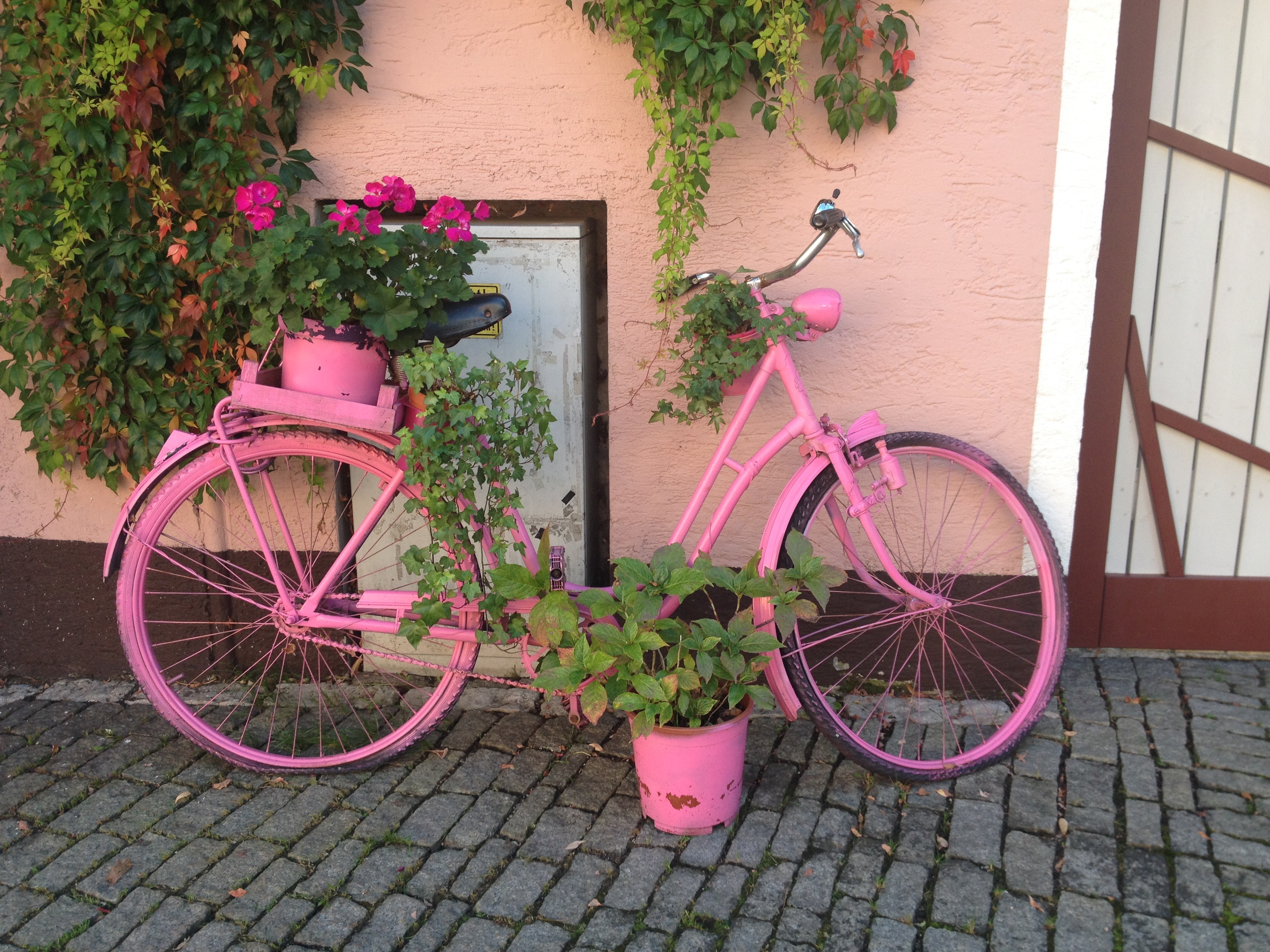 transportation, flowering plant, wall, sport, bike, germany, pink color, city, wall - building feature, building exterior, building, architecture, flowers, HD Wallpaper