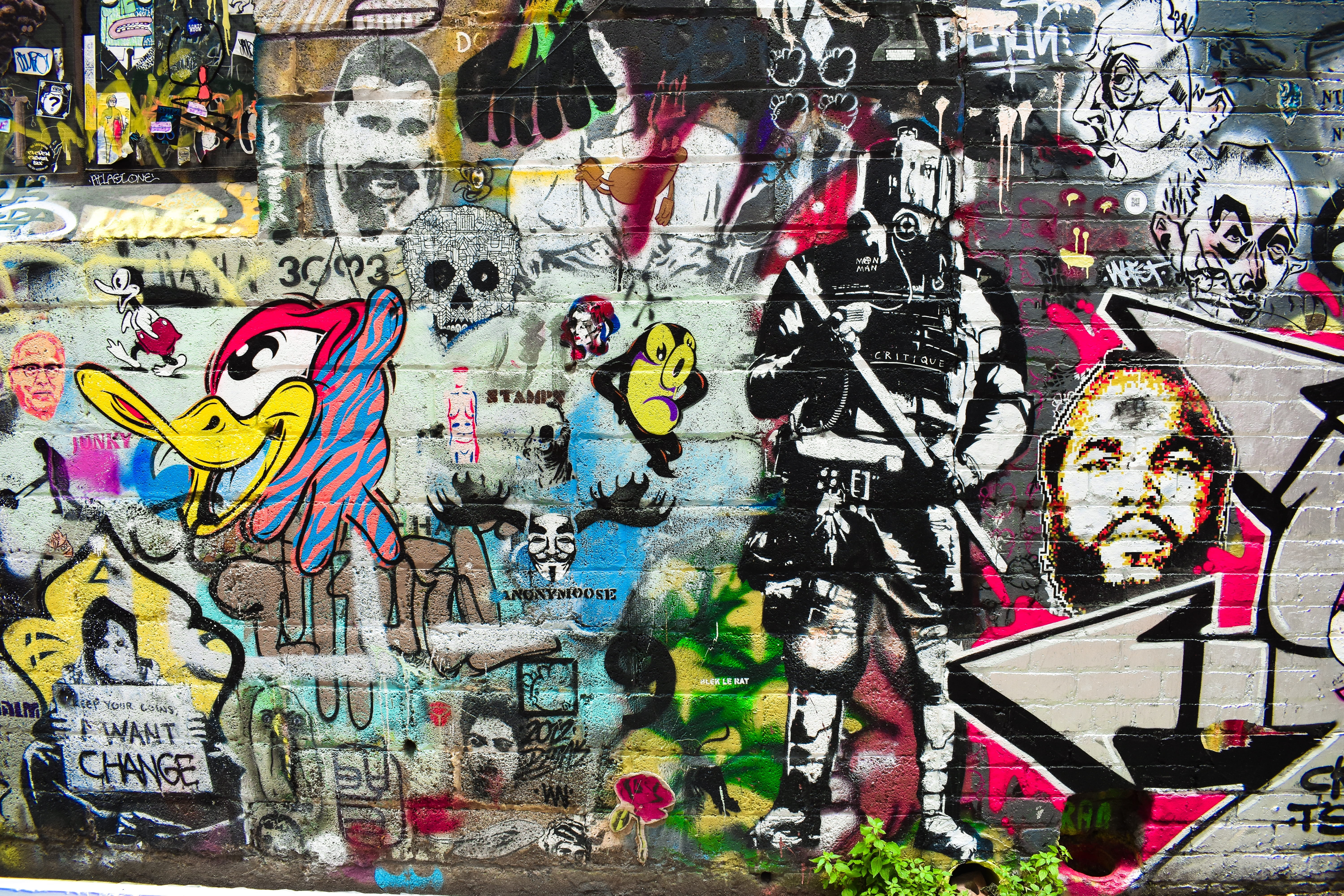 female likeness, human representation, colorful, paint, photo, 5K, starwar, text, no people, painting, street art, poster, wall - building feature, wall, HD Wallpaper