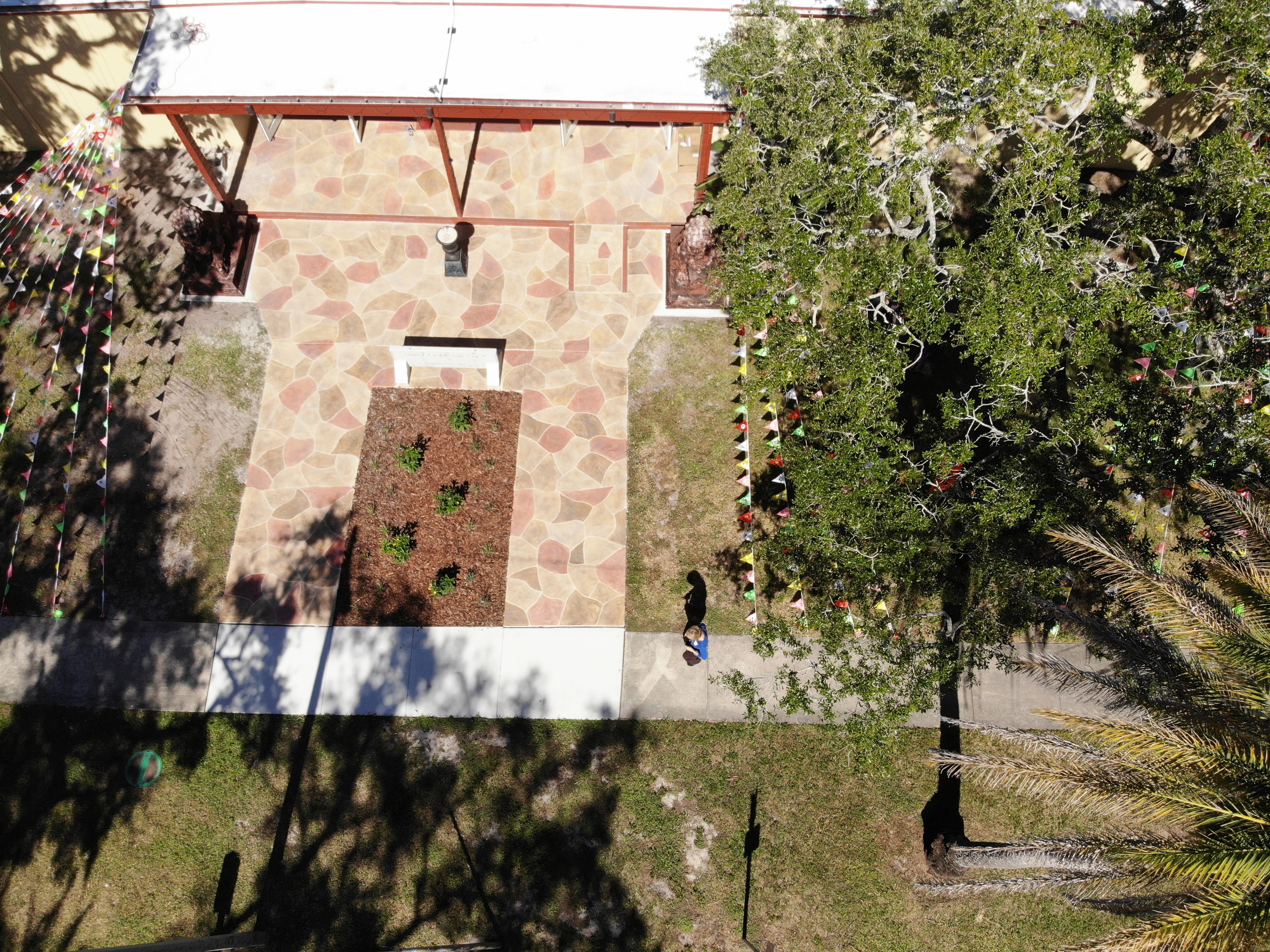 wall, growth, building, nature, united states, tree, landscape, architecture, collage, building exterior, sunlight, animal, day, window, person, 280 locklie st, HD Wallpaper
