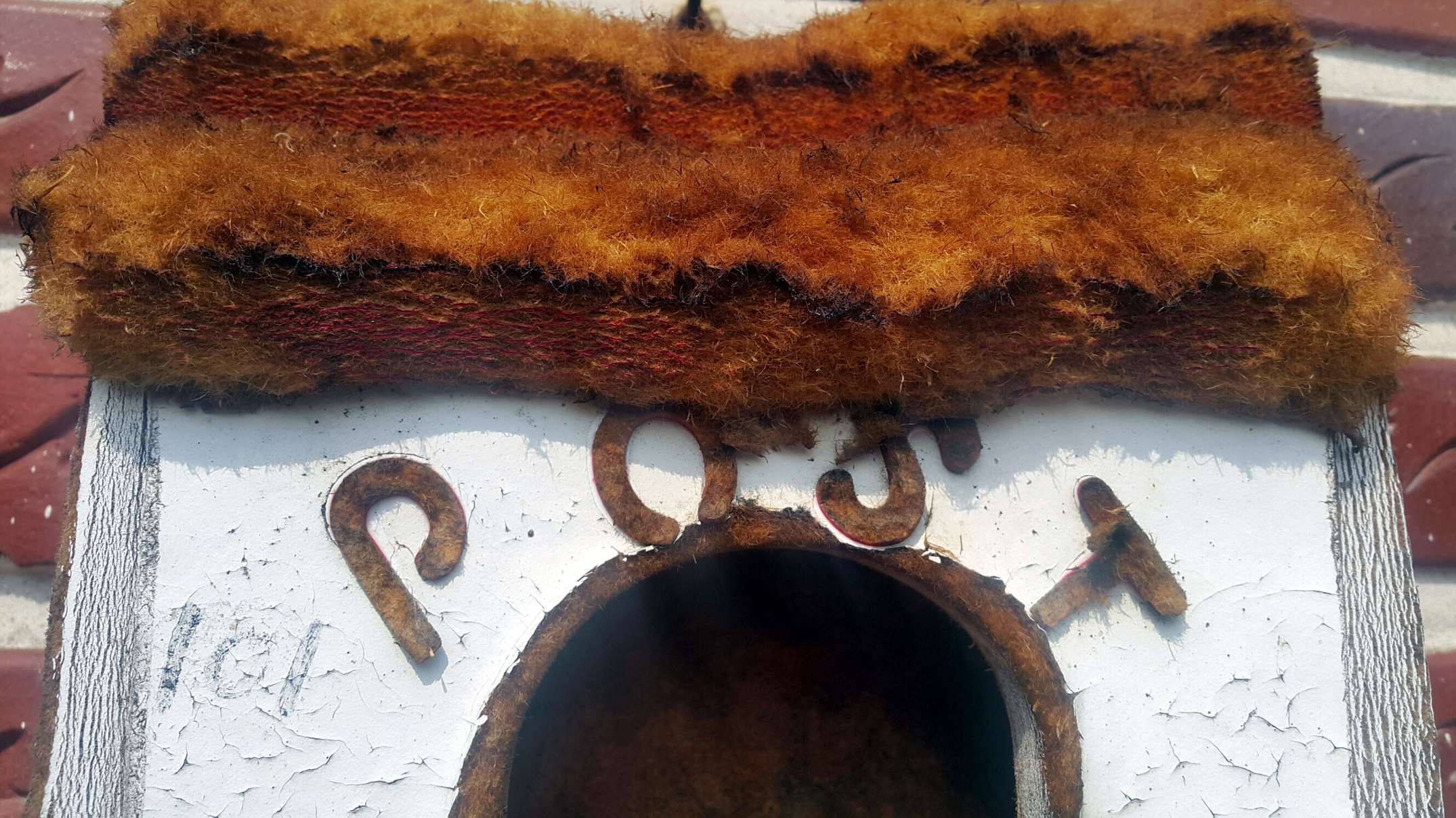 indoors, nature, western script, day, food, postbox, metal, old, number, weathered, no people, post, high angle view, 1080P, close-up, letterbox, rusty, HD Wallpaper
