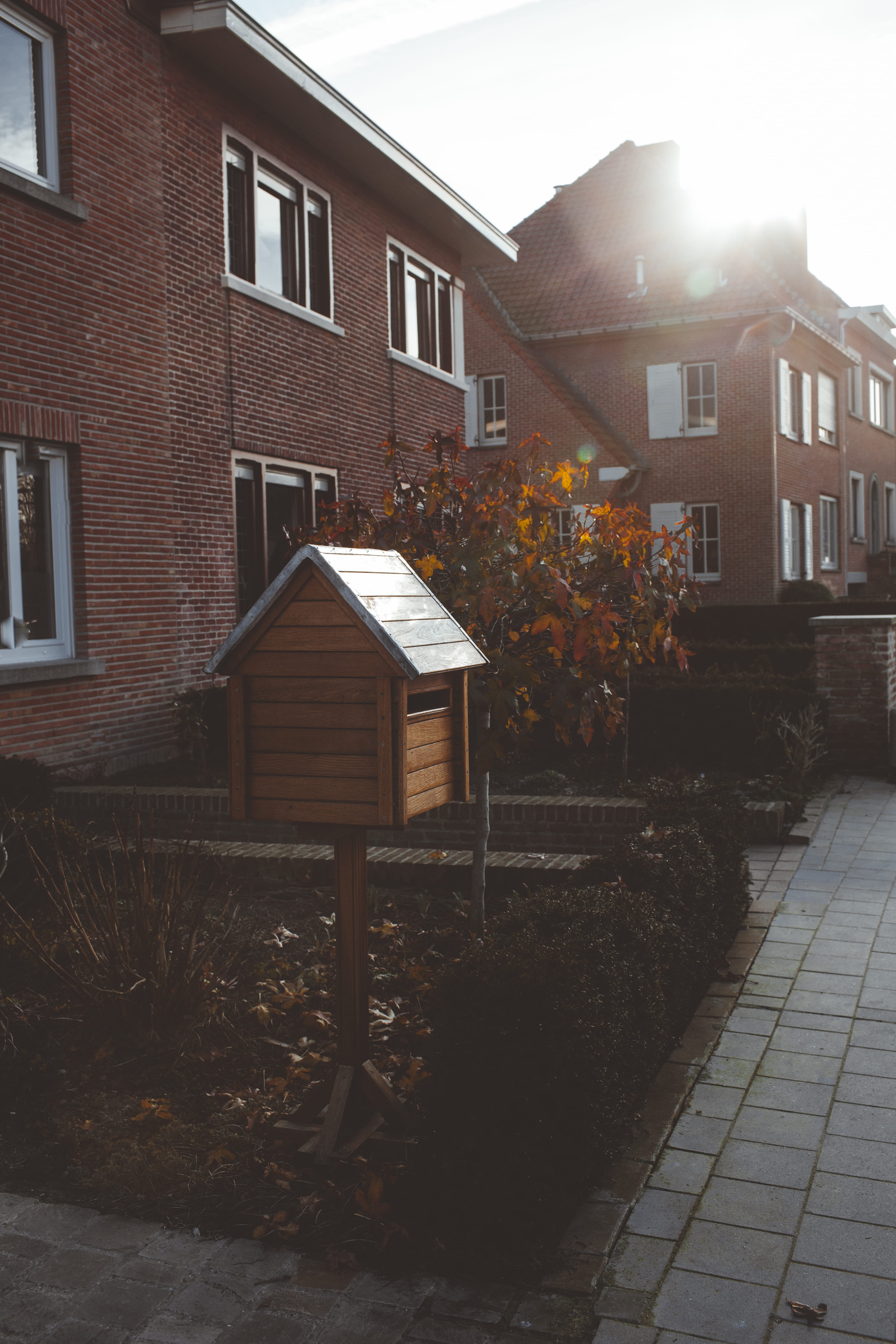 sunlight, travel, change, built structure, letterbox, flare, mailbox, city, brugge, apartment building, slate, urban, belgium, light, window shade, plant part, Phone HD Wallpaper
