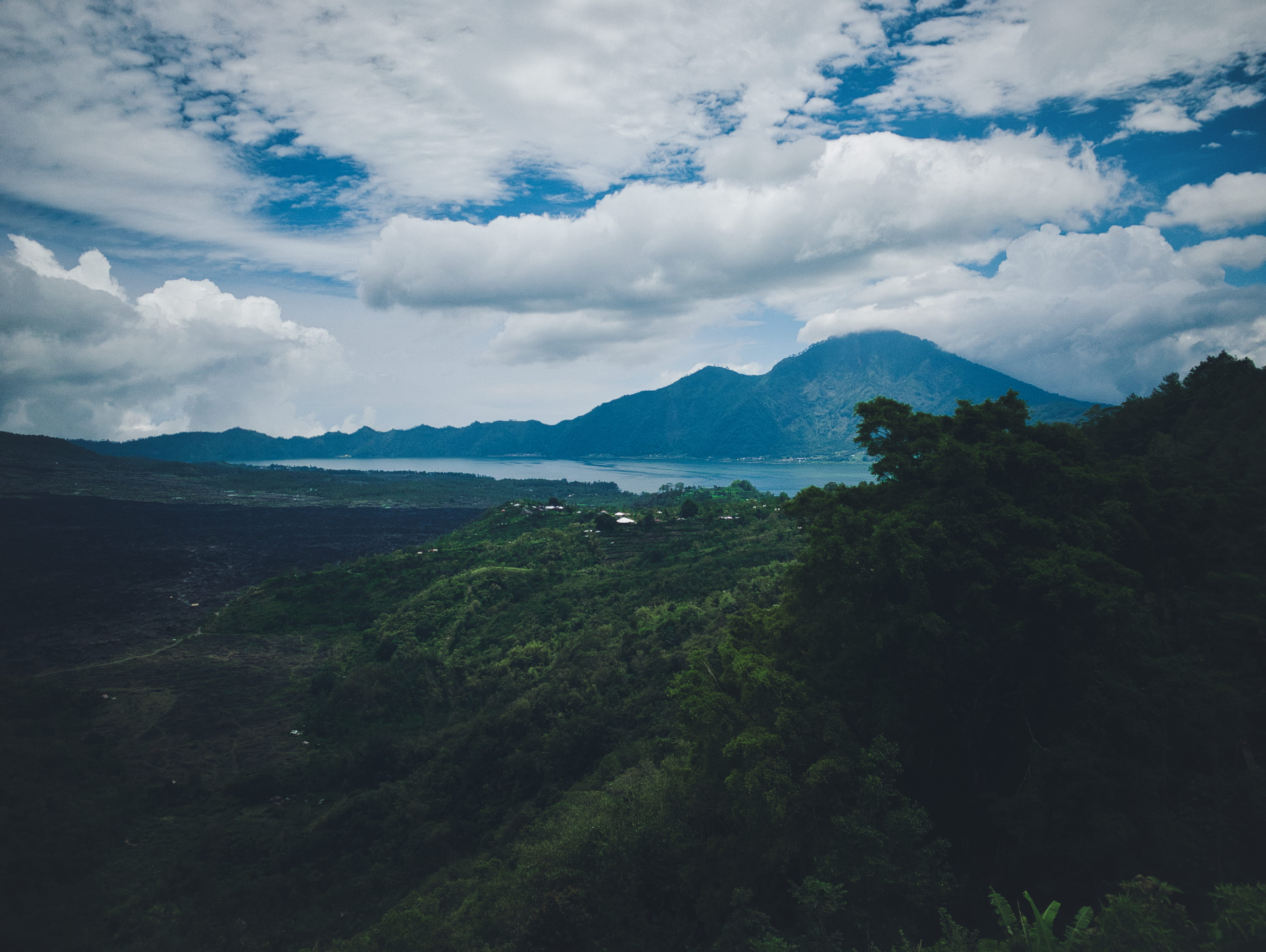 tranquil scene, tree, growth, hd, Bali, lake, day, mountain, beauty in nature, non-urban scene, no people, jl. raya penelokan, mountain range, HD Wallpaper