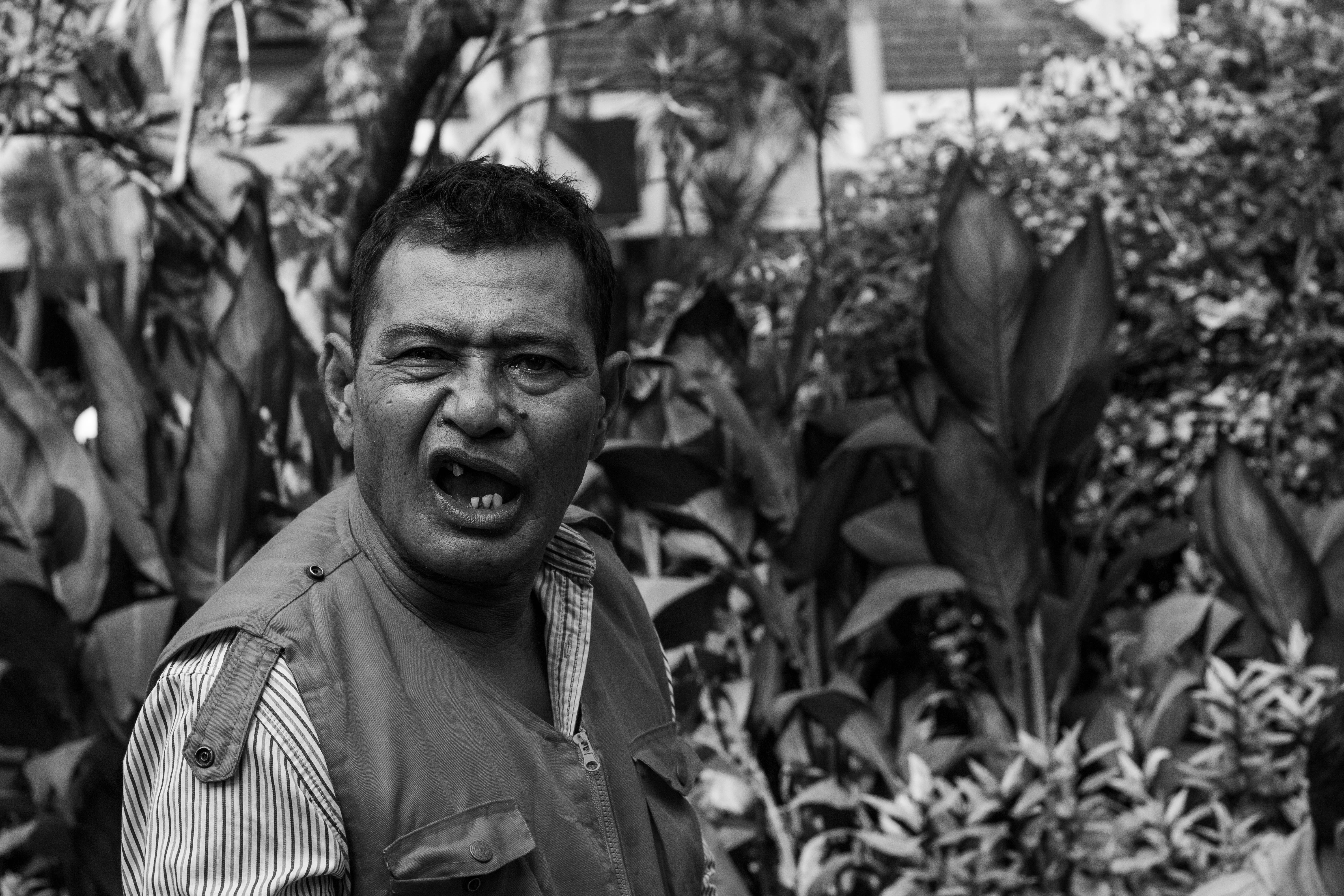 headshot, people, apparel, worker, food, man, adult, outdoors, human, person, growth, 5K, plant, casual clothing, real people, mouth open, leisure activity, HD Wallpaper