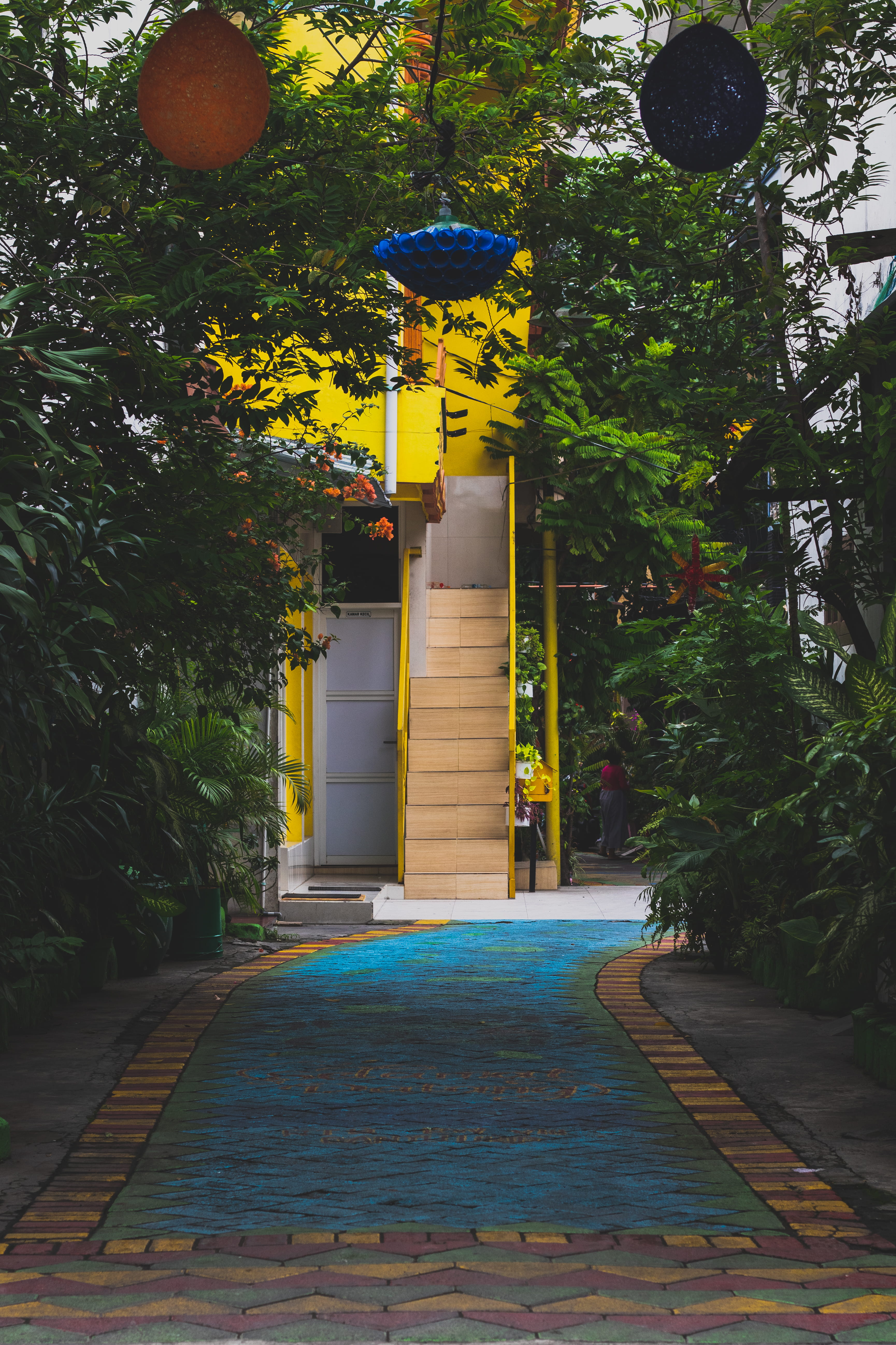 growth, entrance, walkway, nature, indonesia, human, flowering plant, house, flagstone, street, sidewalk, architecture, building, tree, leafed, direction, Phone HD Wallpaper