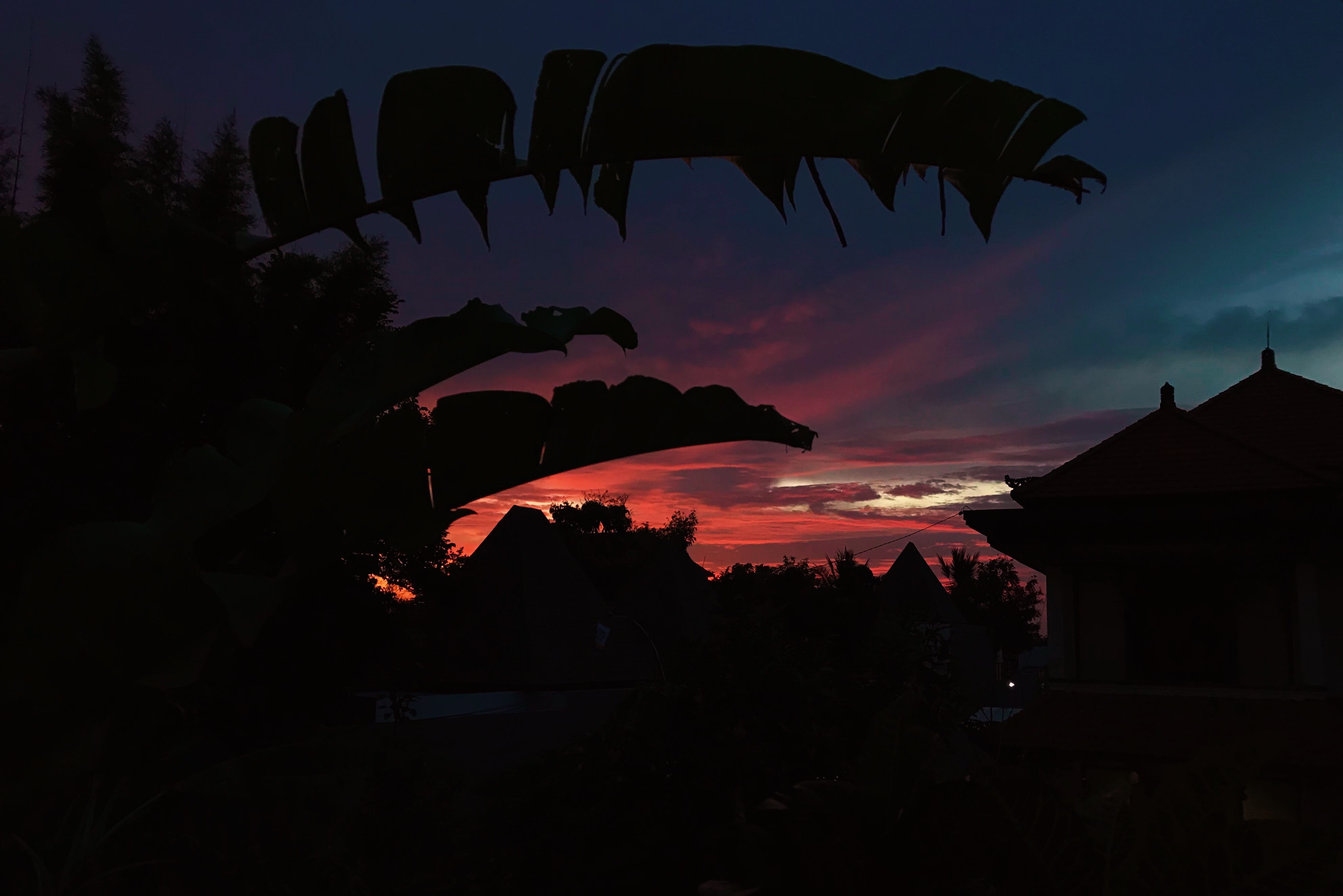 architecture, silhouette, dawn, building, built structure, tropics, building exterior, no people, forest, cloud - sky, scenics - nature, 4K, dusk, tree, HD Wallpaper