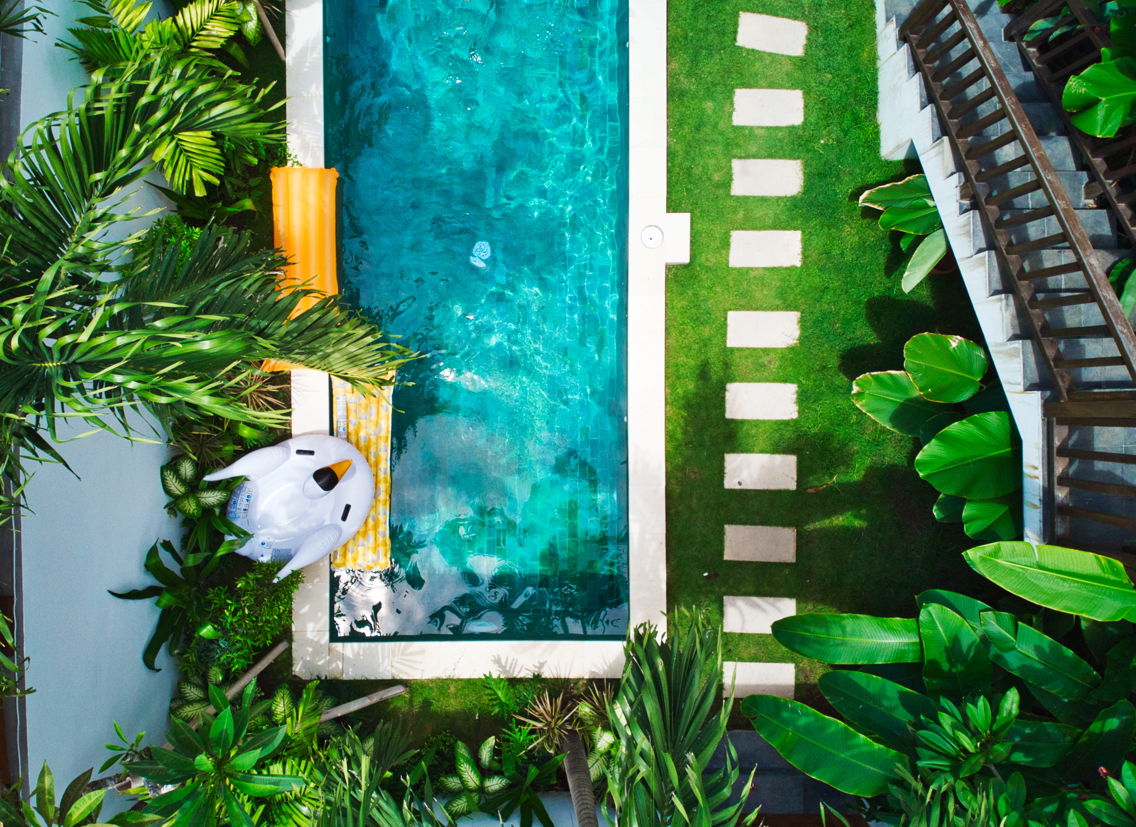 no people, aerial, kuta utara, indonesia, outdoors, tree, photography, bird, swimming, animal wildlife, moss, nature, animal, animals in the wild, garden, HD Wallpaper