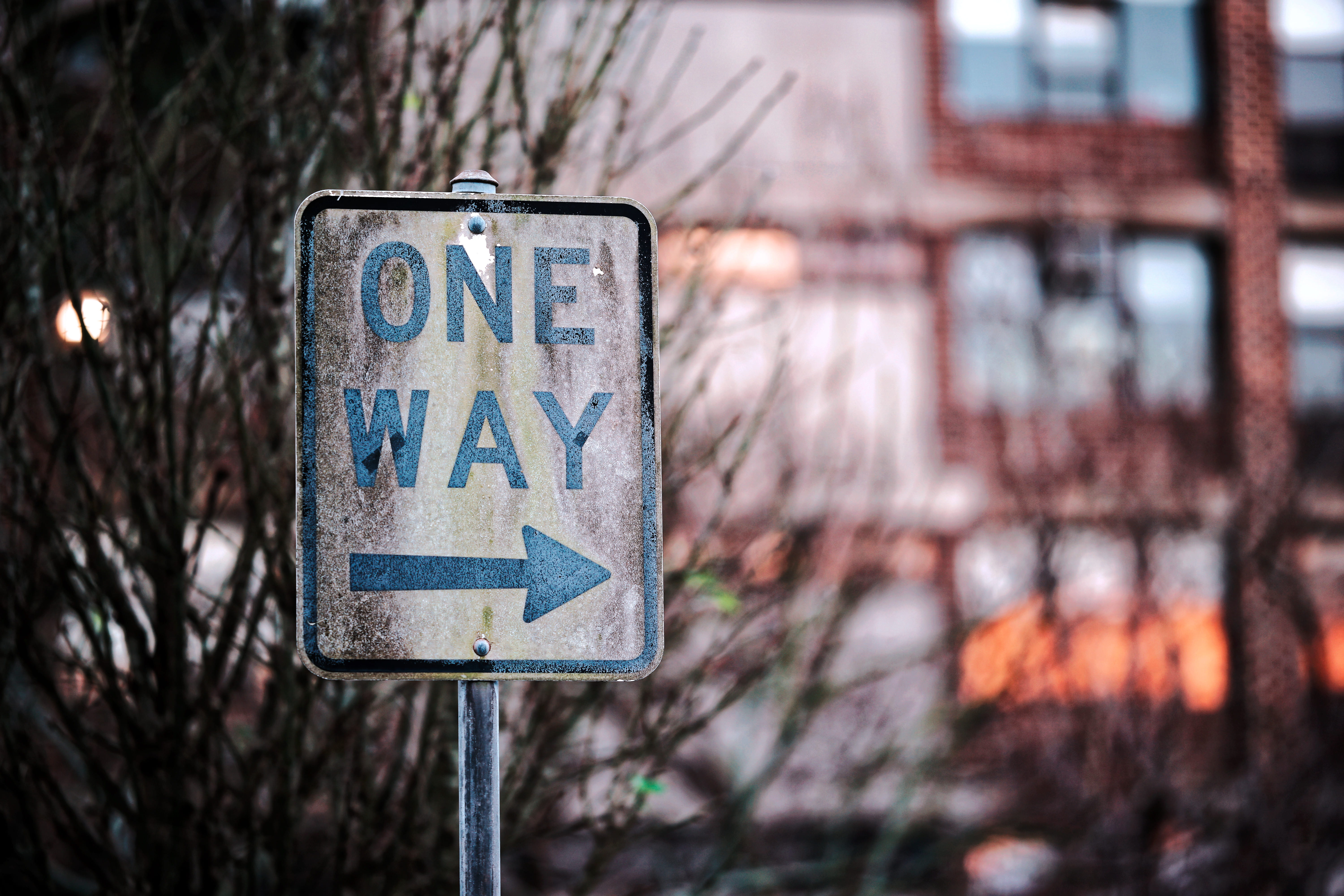 bare tree, road sign, signage, symbol, white, 5K, information, road, text, nature, plant, one, day, message, no people, communication, architecture, arrow, HD Wallpaper