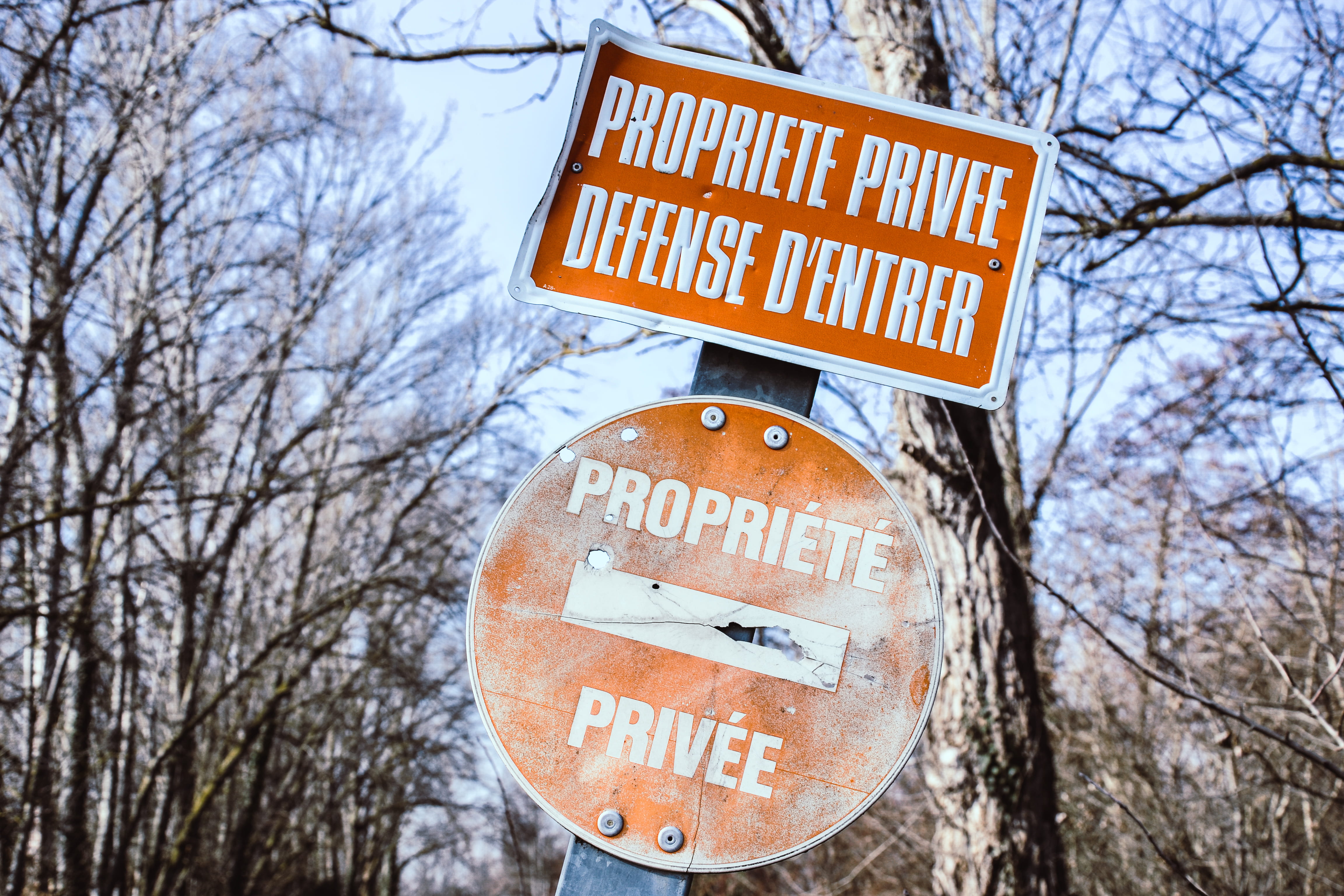 text, 4K, warning sign, apparel, no people, branch, tree, accessory, plant, french, low angle view, communication, forrest, town, goggles, stopsign, symbol, HD Wallpaper