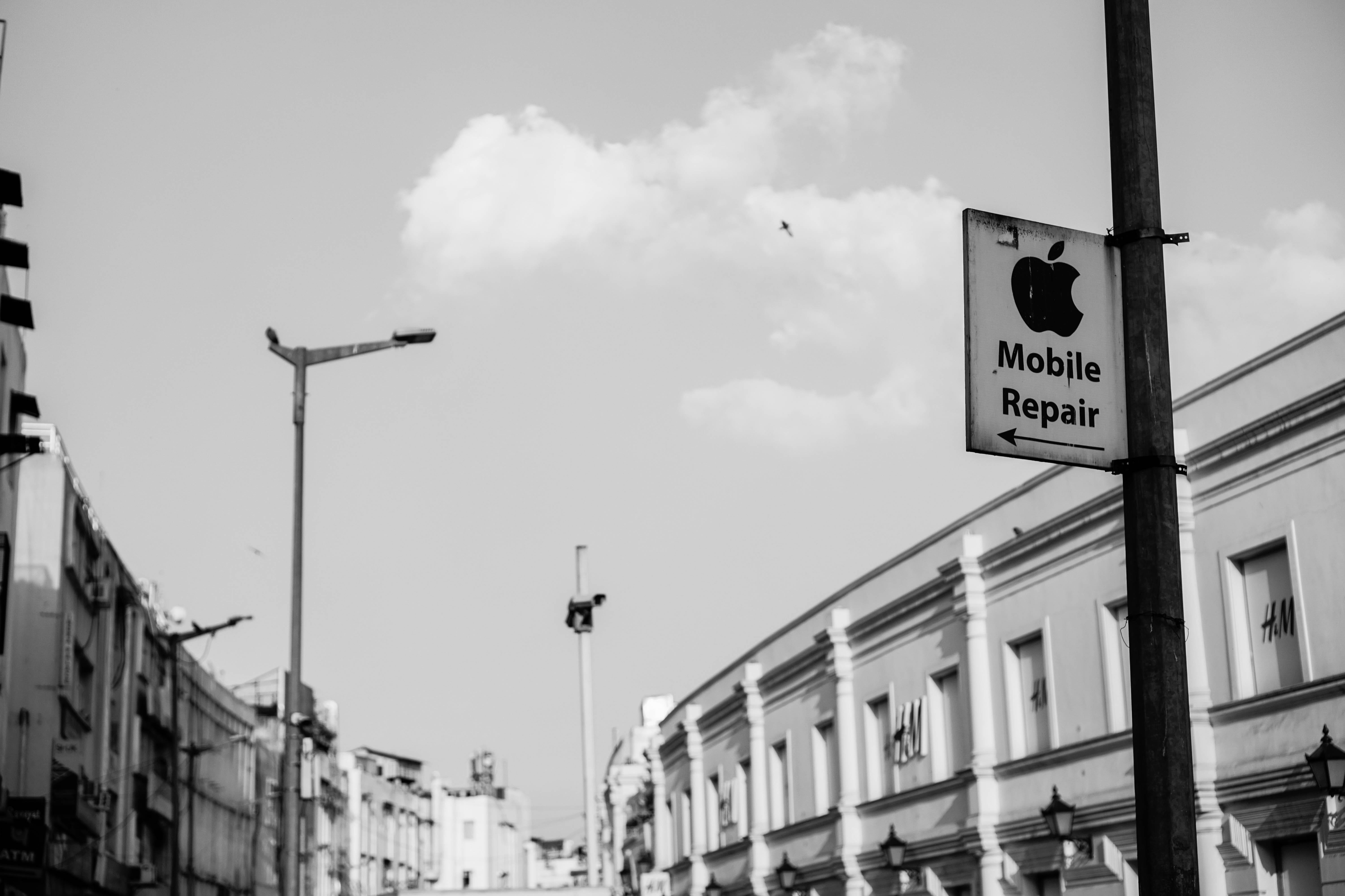 spire, sky, downtown, information, town, outdoors, sign board, western script, road sign, bird, communication, street, apple, built structure, building, HD Wallpaper